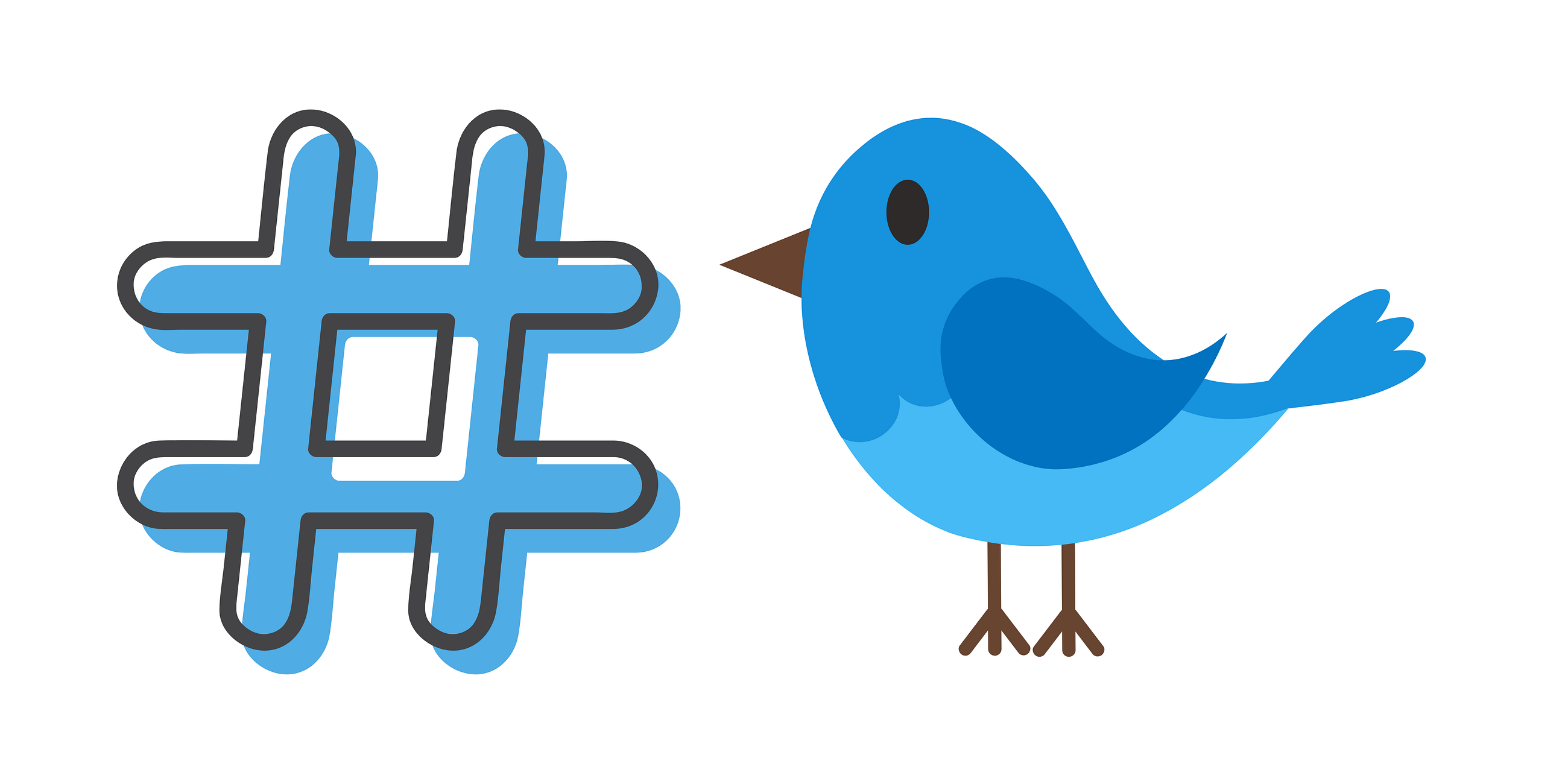 Mastering Twitter Sentiment Analysis: A Step-by-Step Guide Using Python and BERT