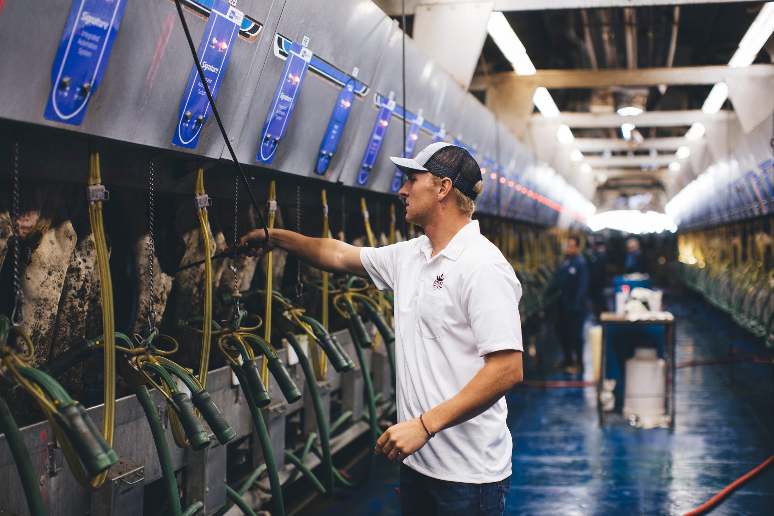 The Food System Is Breaking. Blockchain Is the Fix.