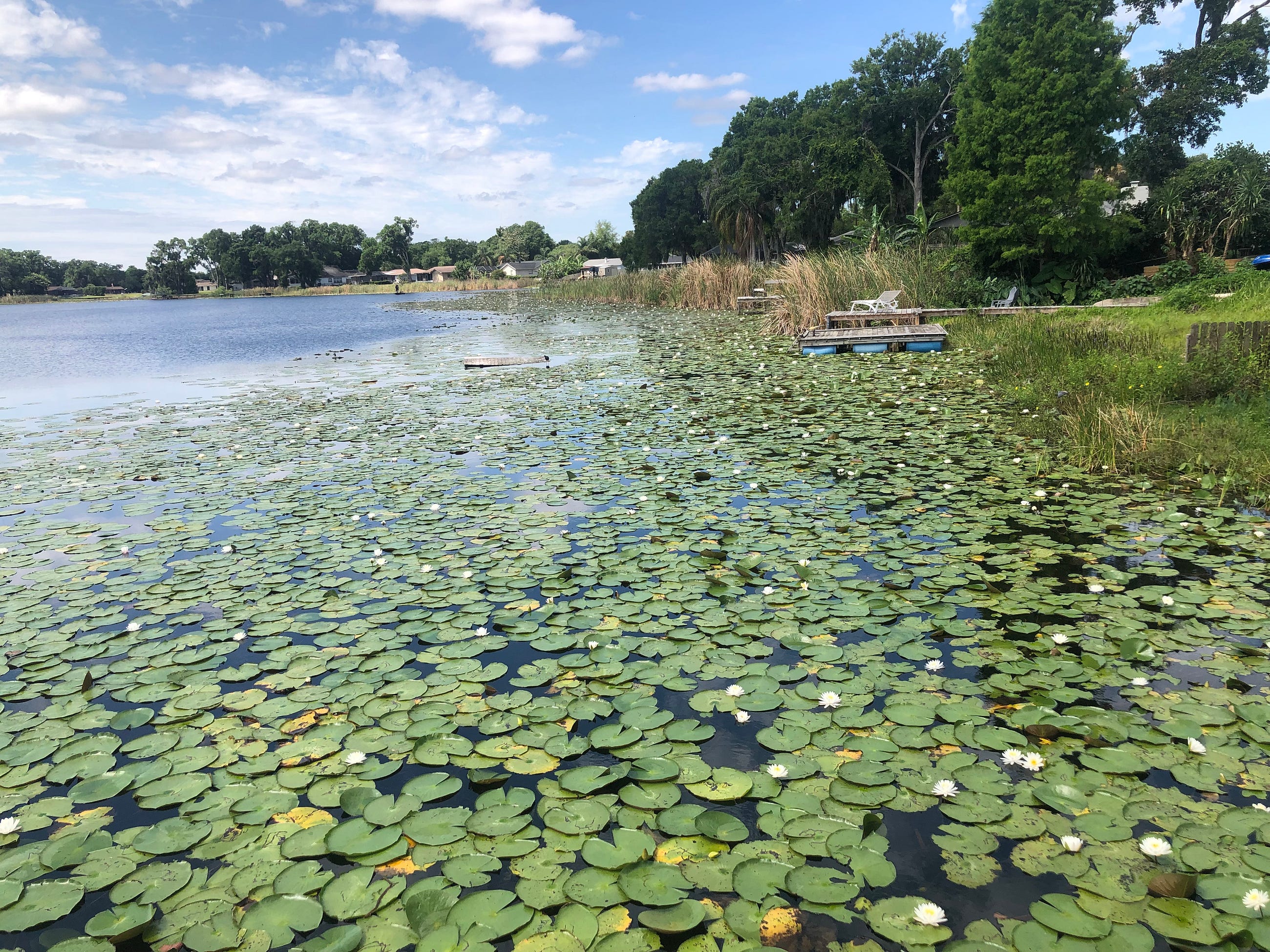 Earth Observation on Medium - Postcard from Florida: The White Lotus