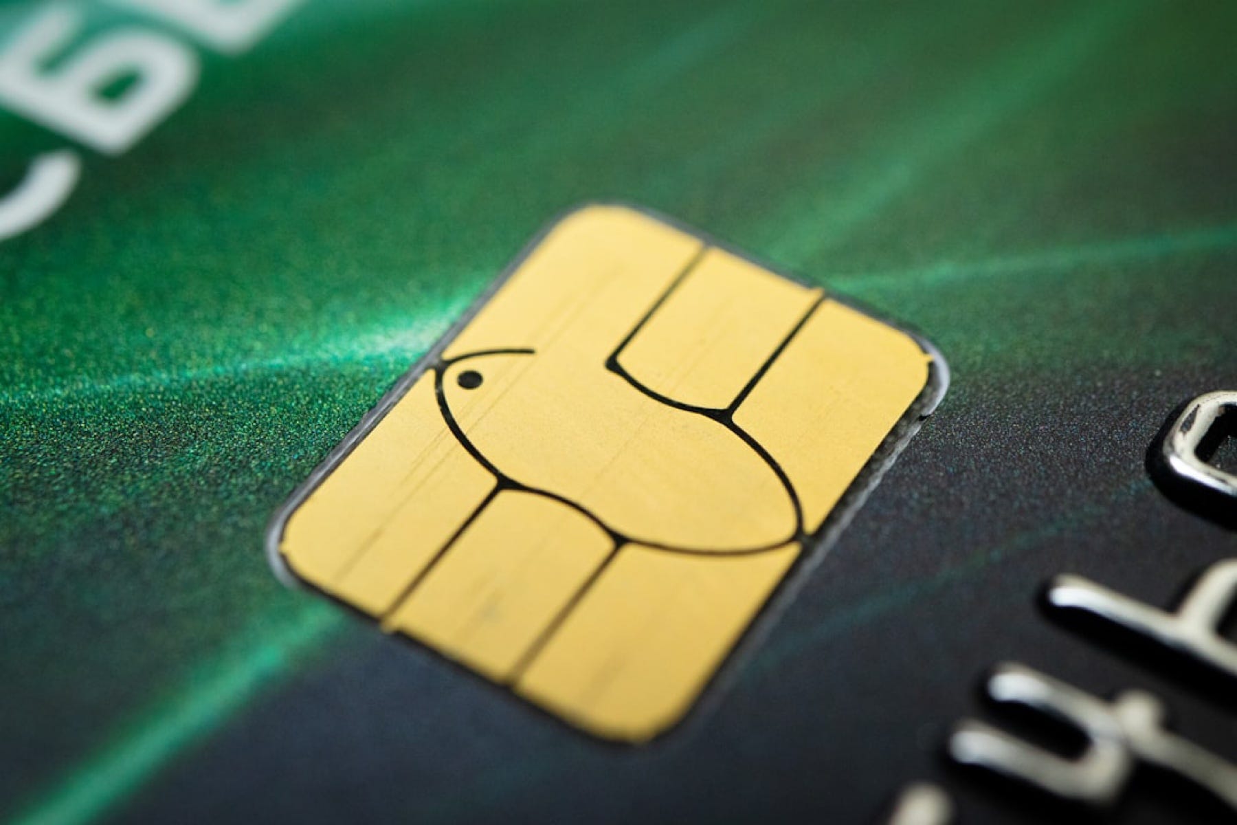 What is Savastan0? Risks of Using Illegal CC Shops Explained