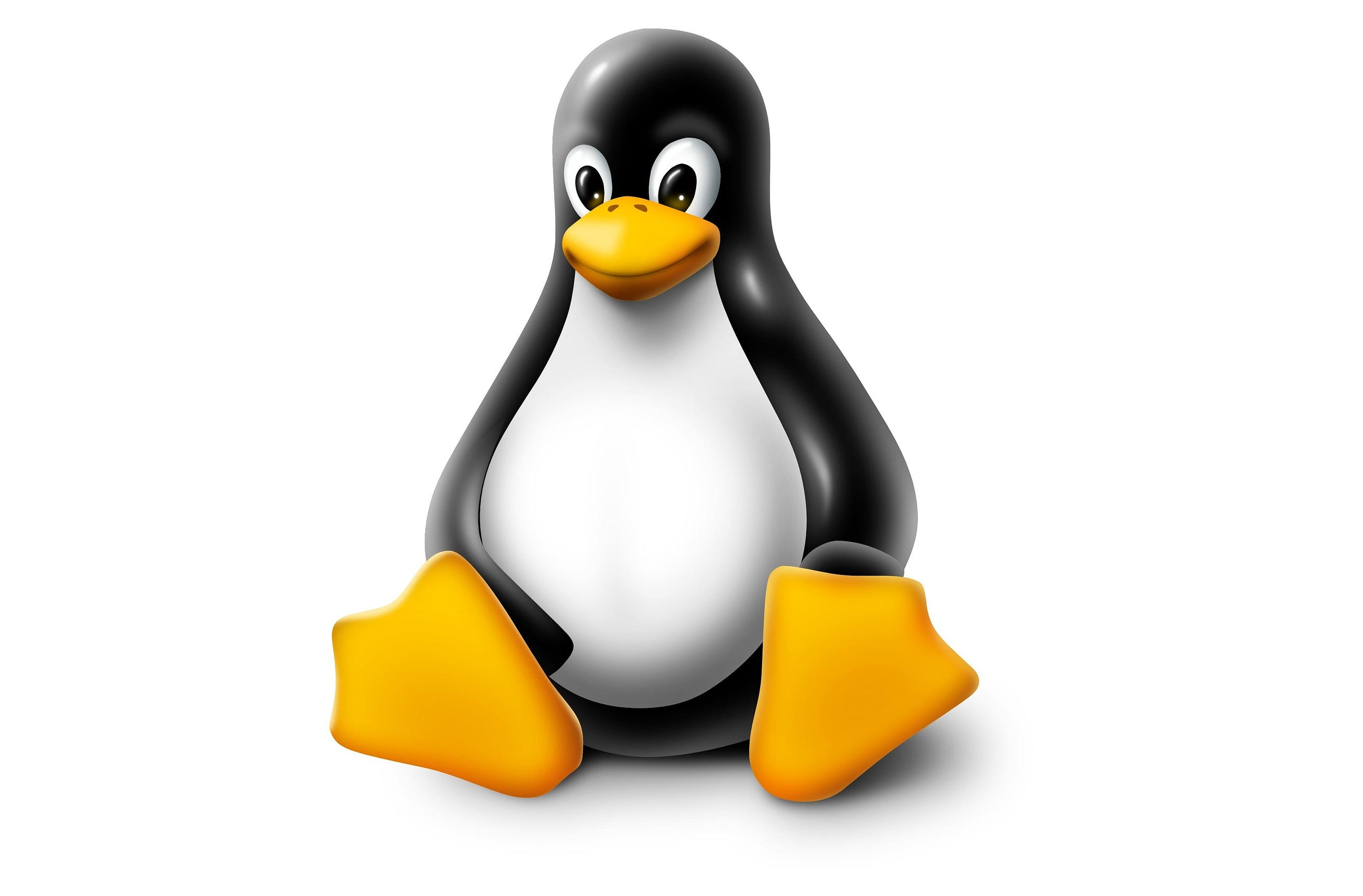 Not able to access or read your external portable hard disk in Windows? Try Linux