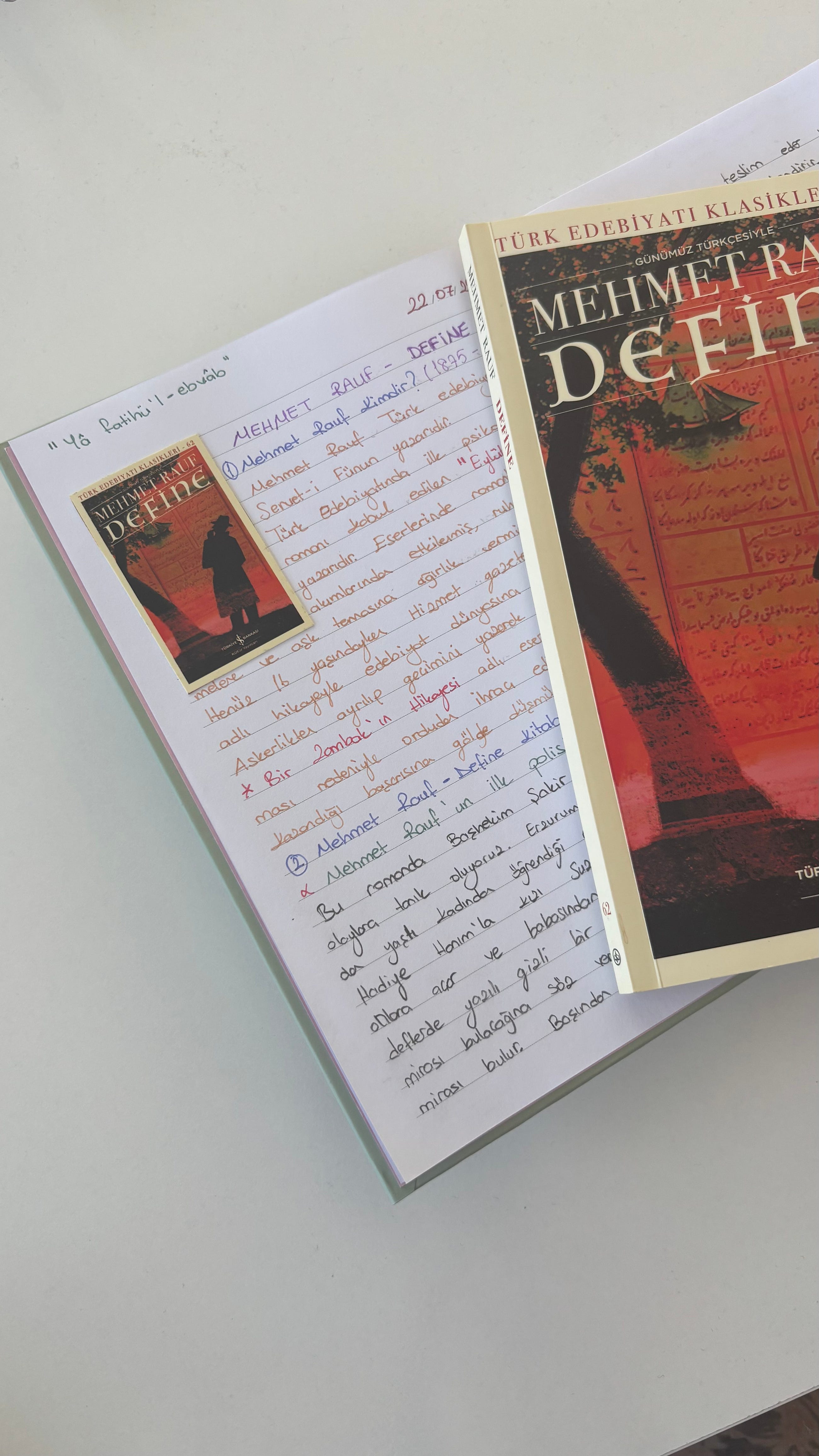 MEHMET RAUF “ DEFİNE”