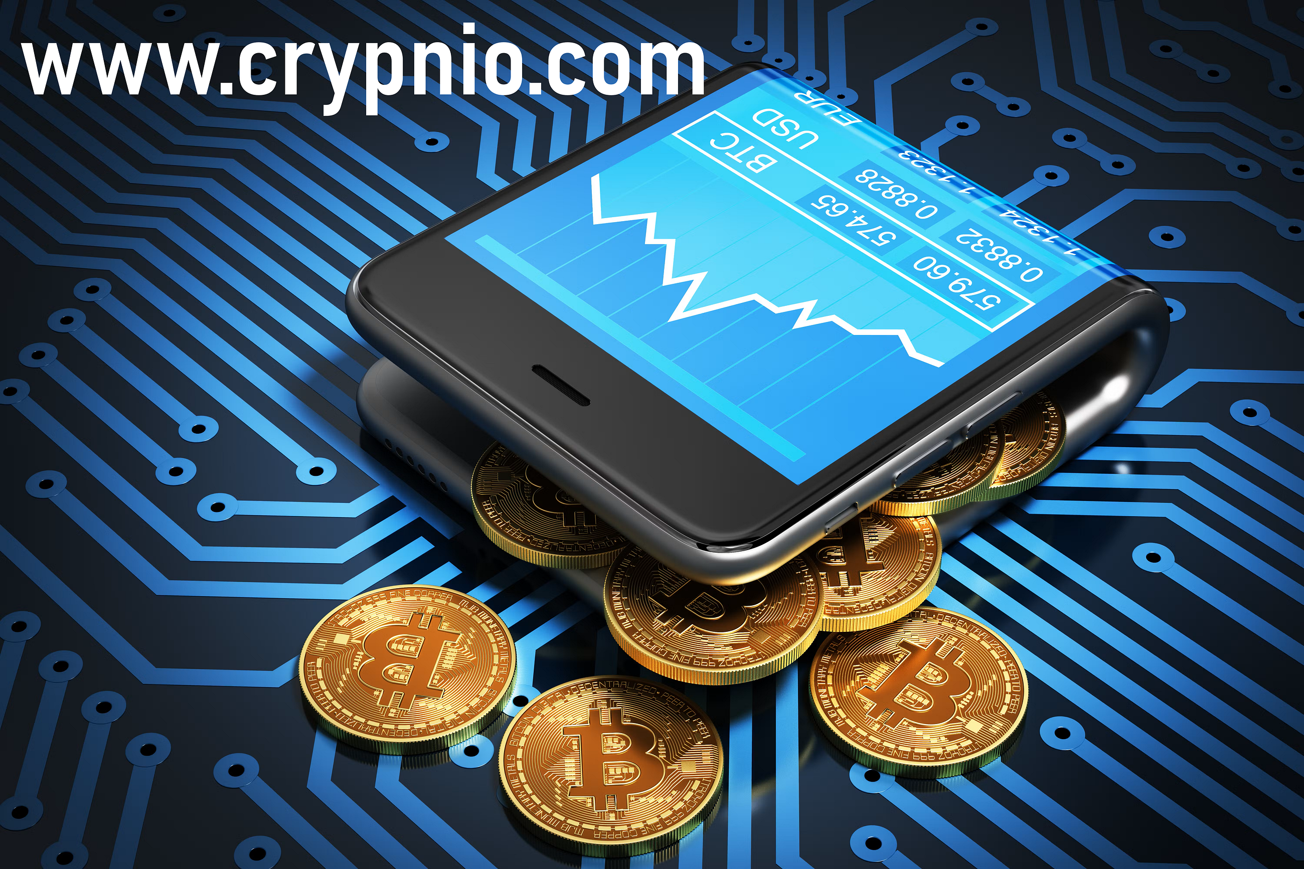 Best Cryptocurrency wallet in 2026
