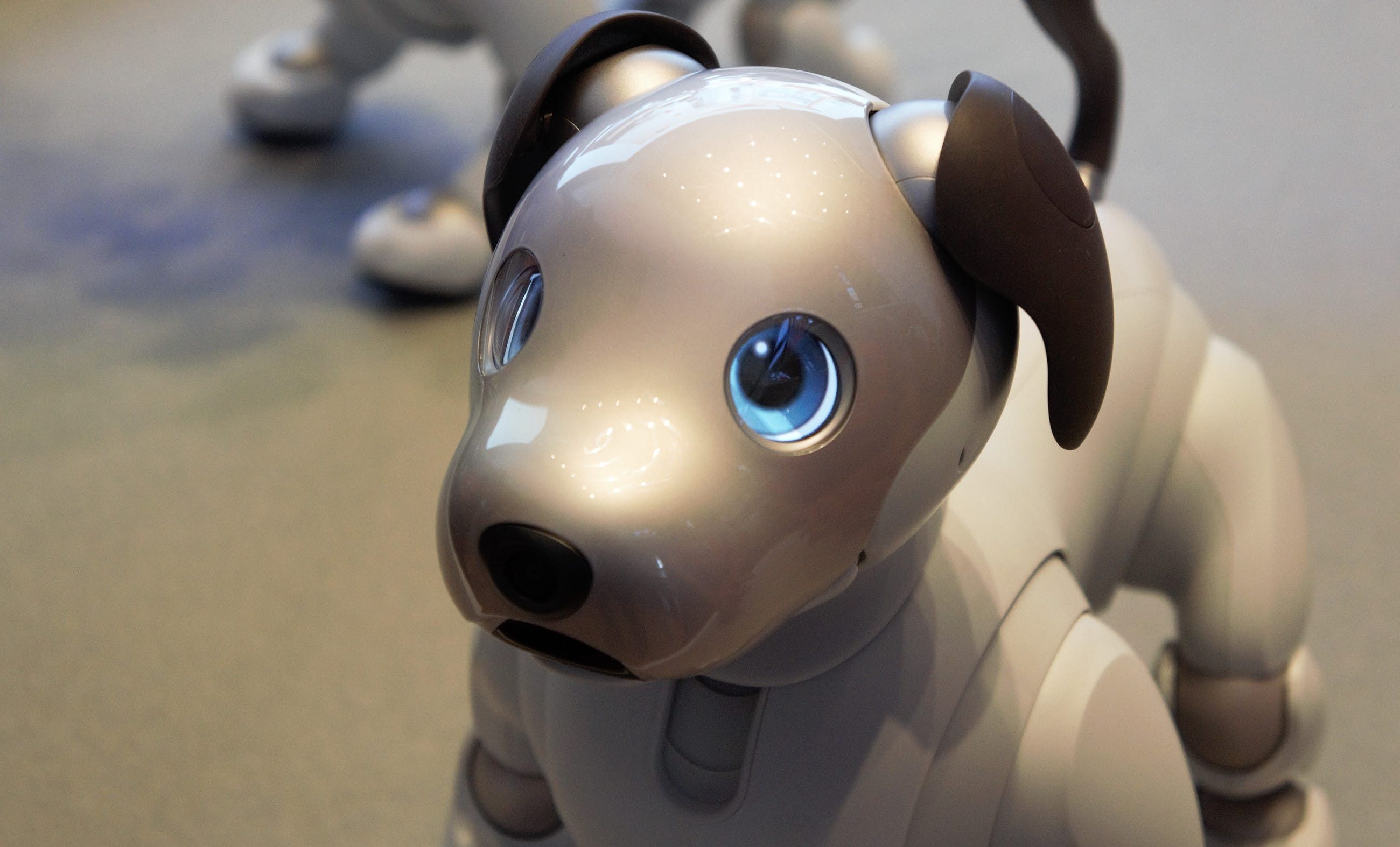 $3000 sony aibo robot dog