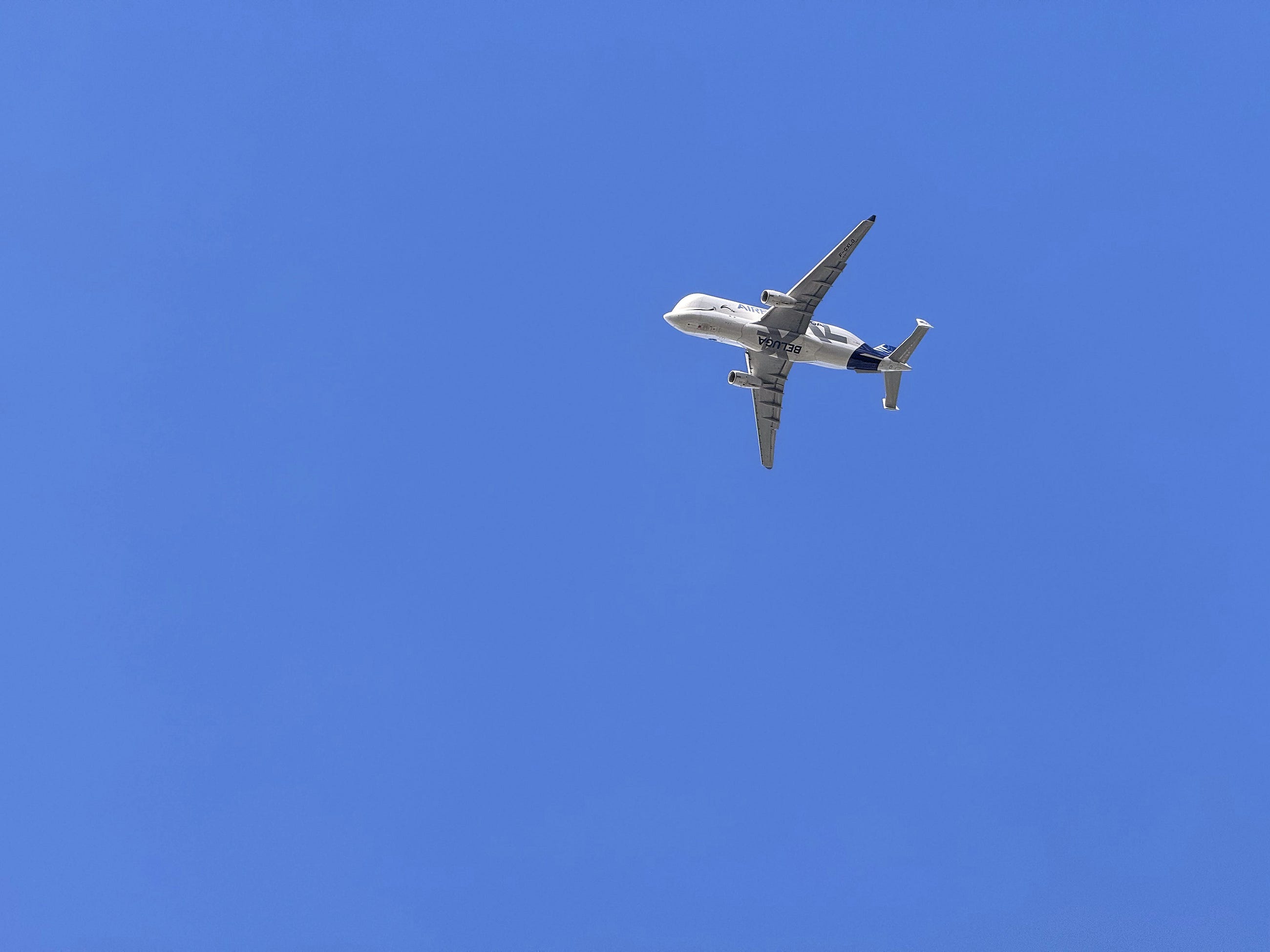 It’s a Whale It’s a Plane It’s a Beluga. It’s a Whale It’s a Plane It’s a Beluga.