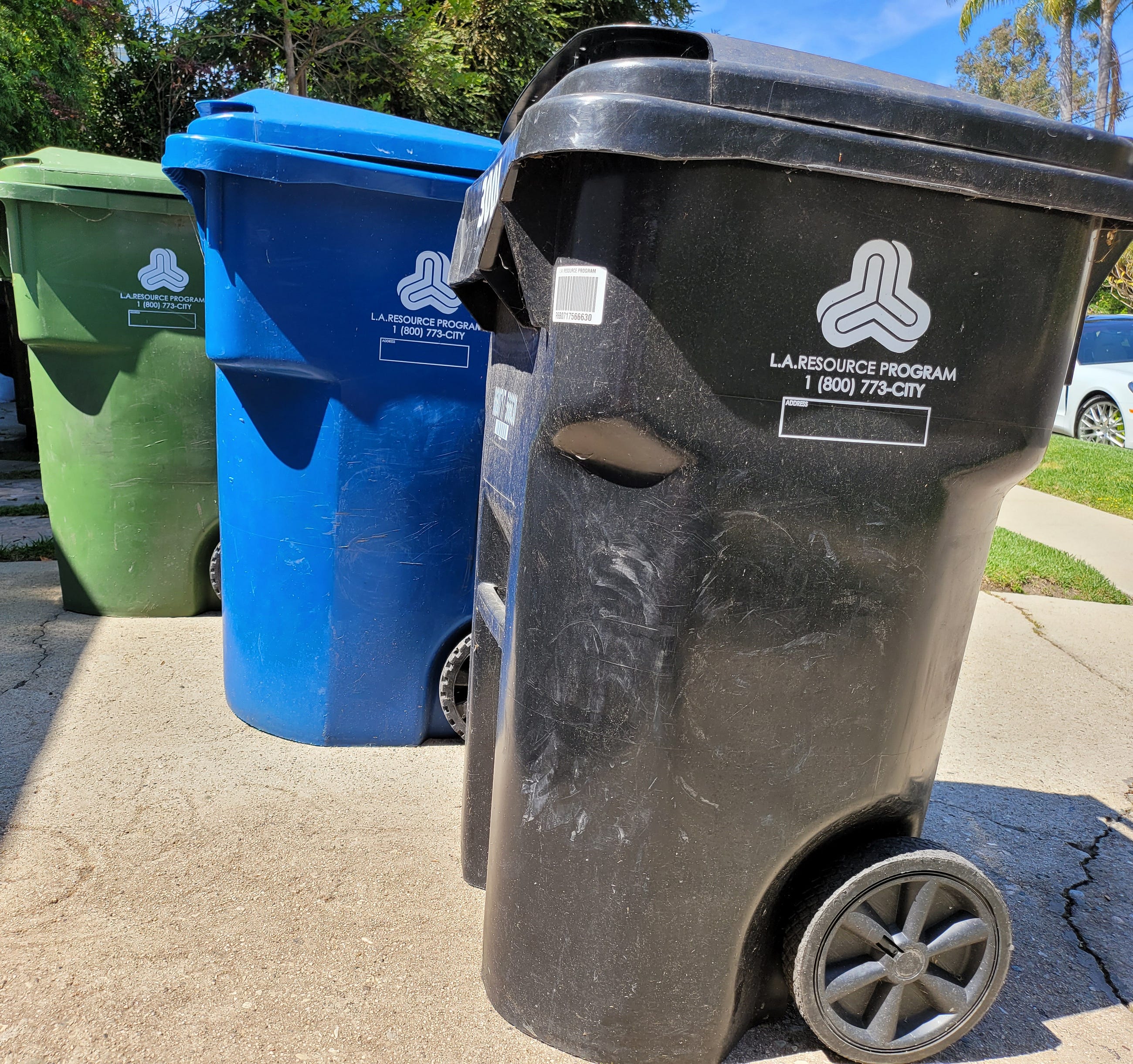 Freshly cut grass and tree debris go to the green bin. Amazon boxes