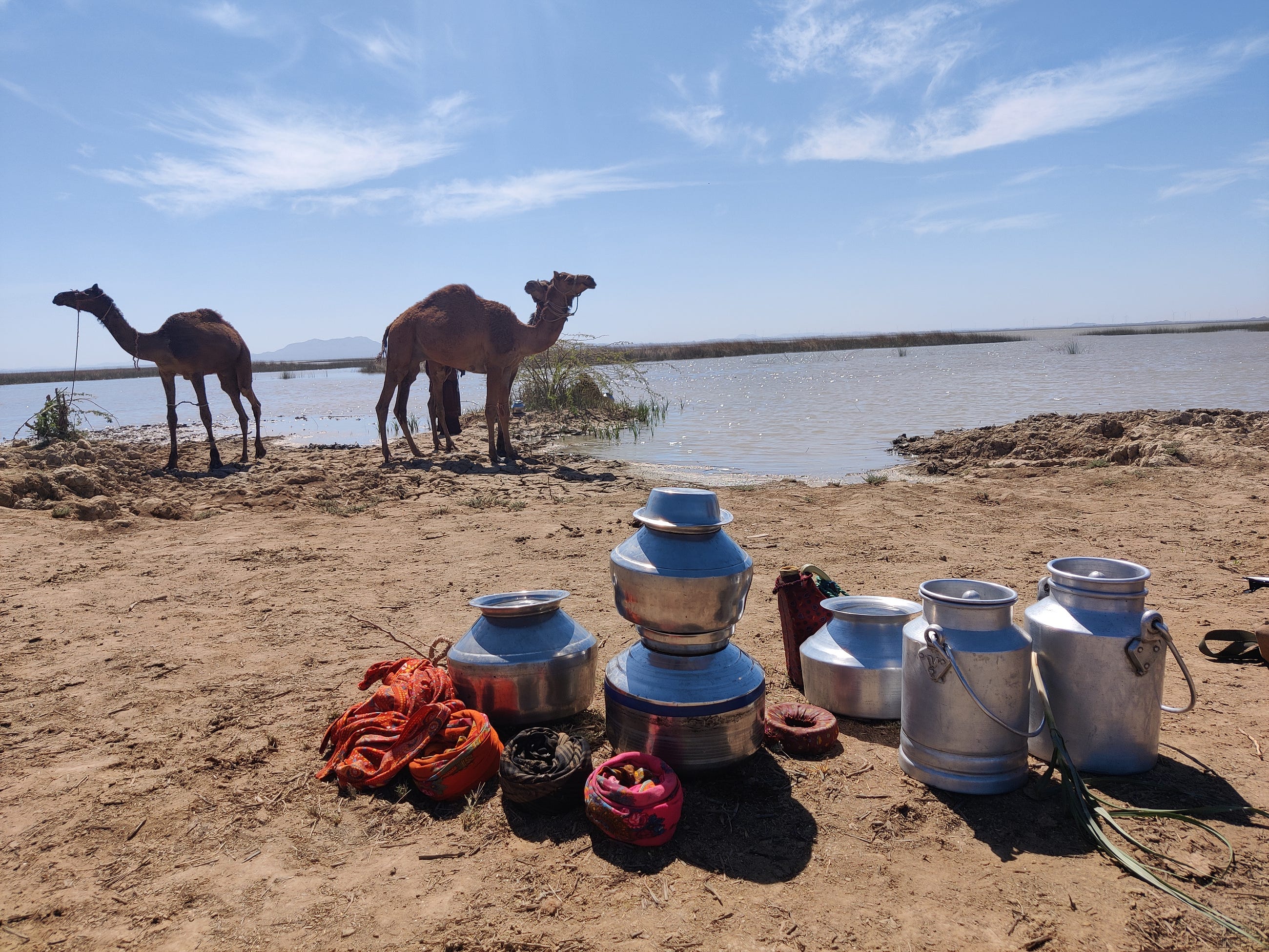 World Environment Day: 16 Climate Innovations You Must Know