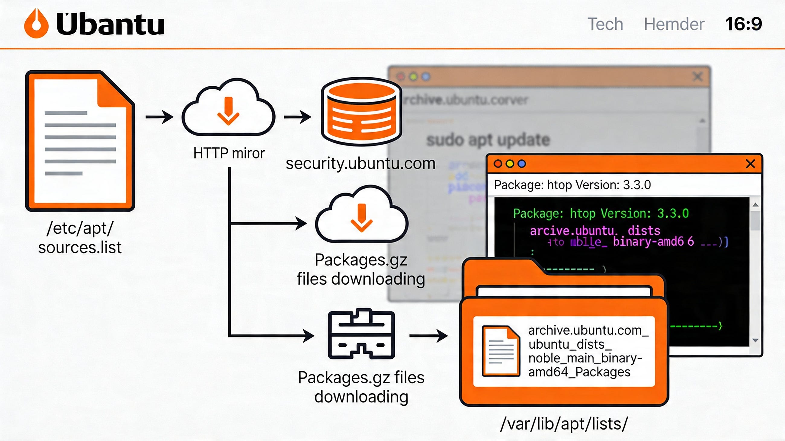 How sudo apt update REALLY Works Behind the Scenes