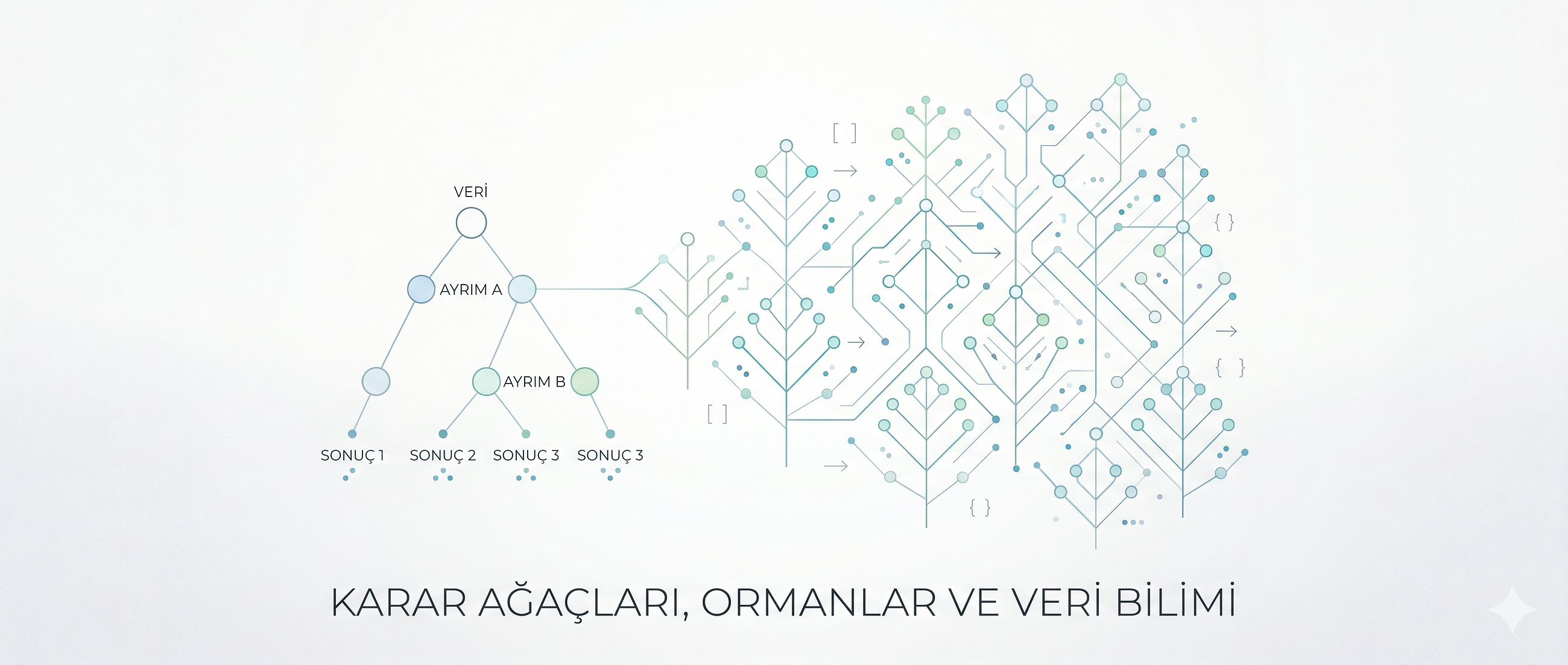 Karar Ağaçlarından Ormanlara: Makine Öğrenmesinde Mantıklı Seçimler Yapmak