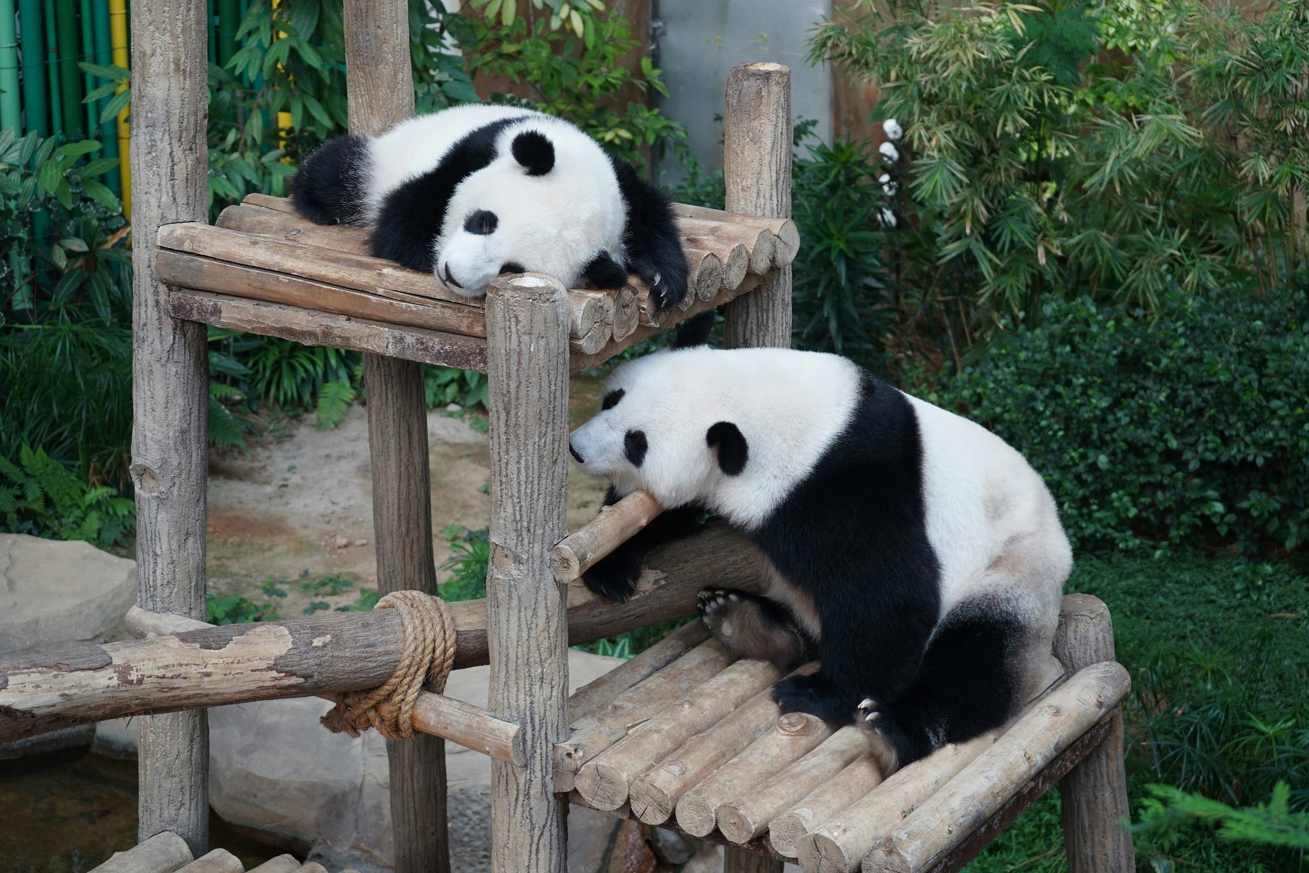 Adding Rows to Pandas DataFrames