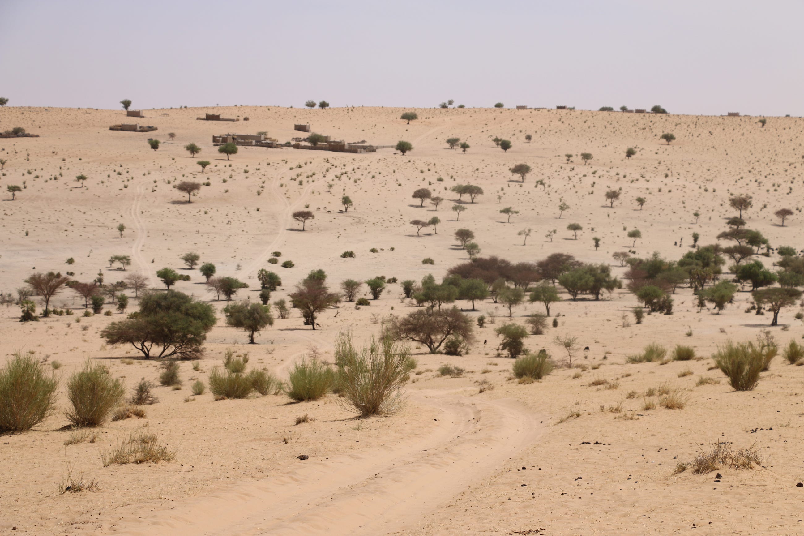 Sahel Desert Africa