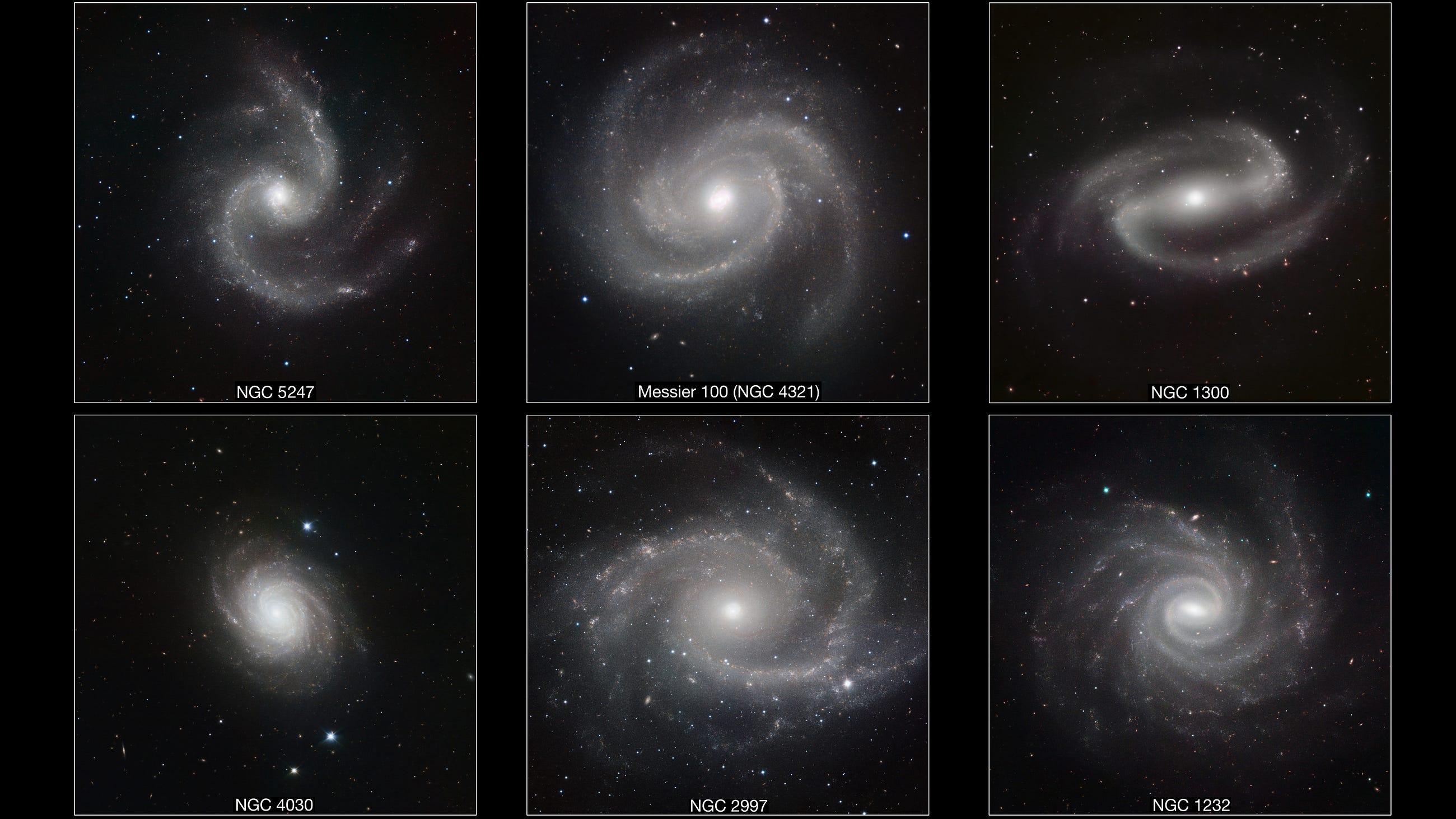 Ask Ethan: What do surveys of physicists actually reveal-