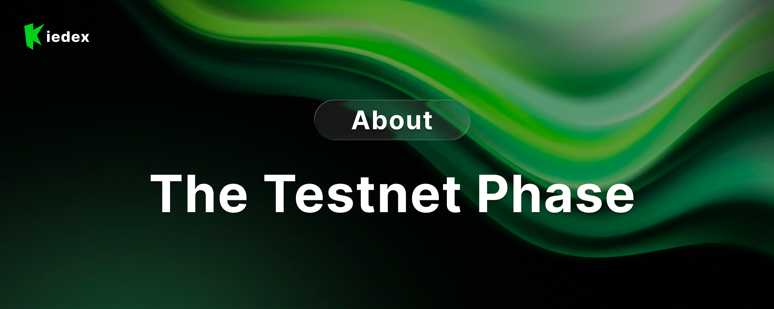 About Testnet Phase