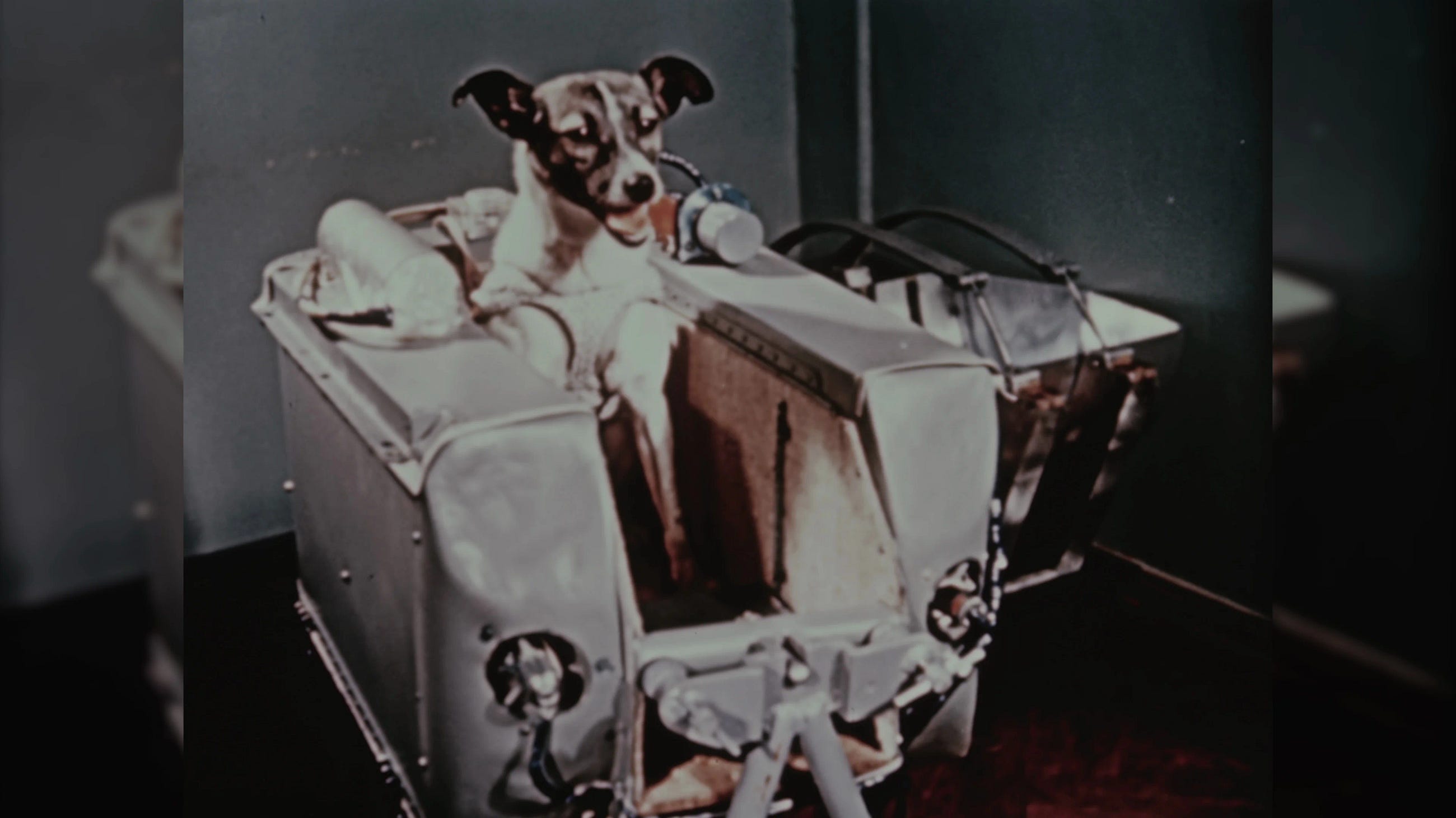 Laika: The Stray Dog Who Became the First Earthling in Space Laika: The Stray Dog Who Became the First Earthling in Space