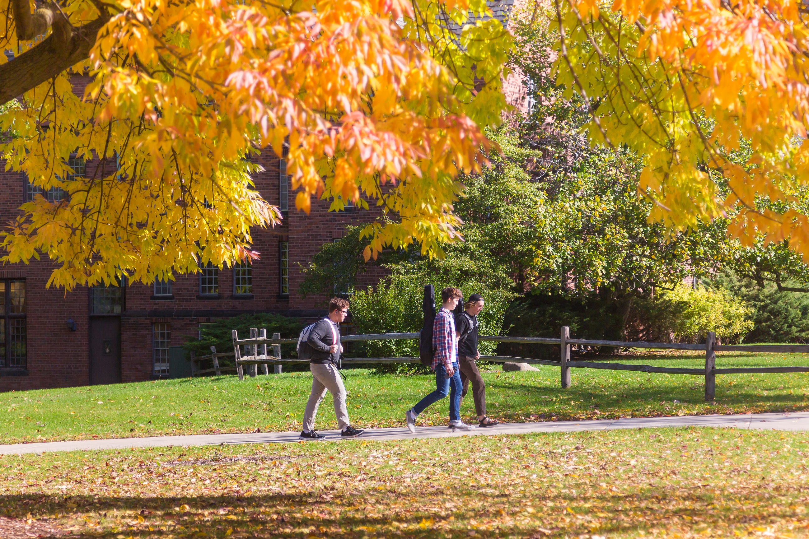 Traits of UWM as told by fall foliage – UW-Milwaukee – Medium