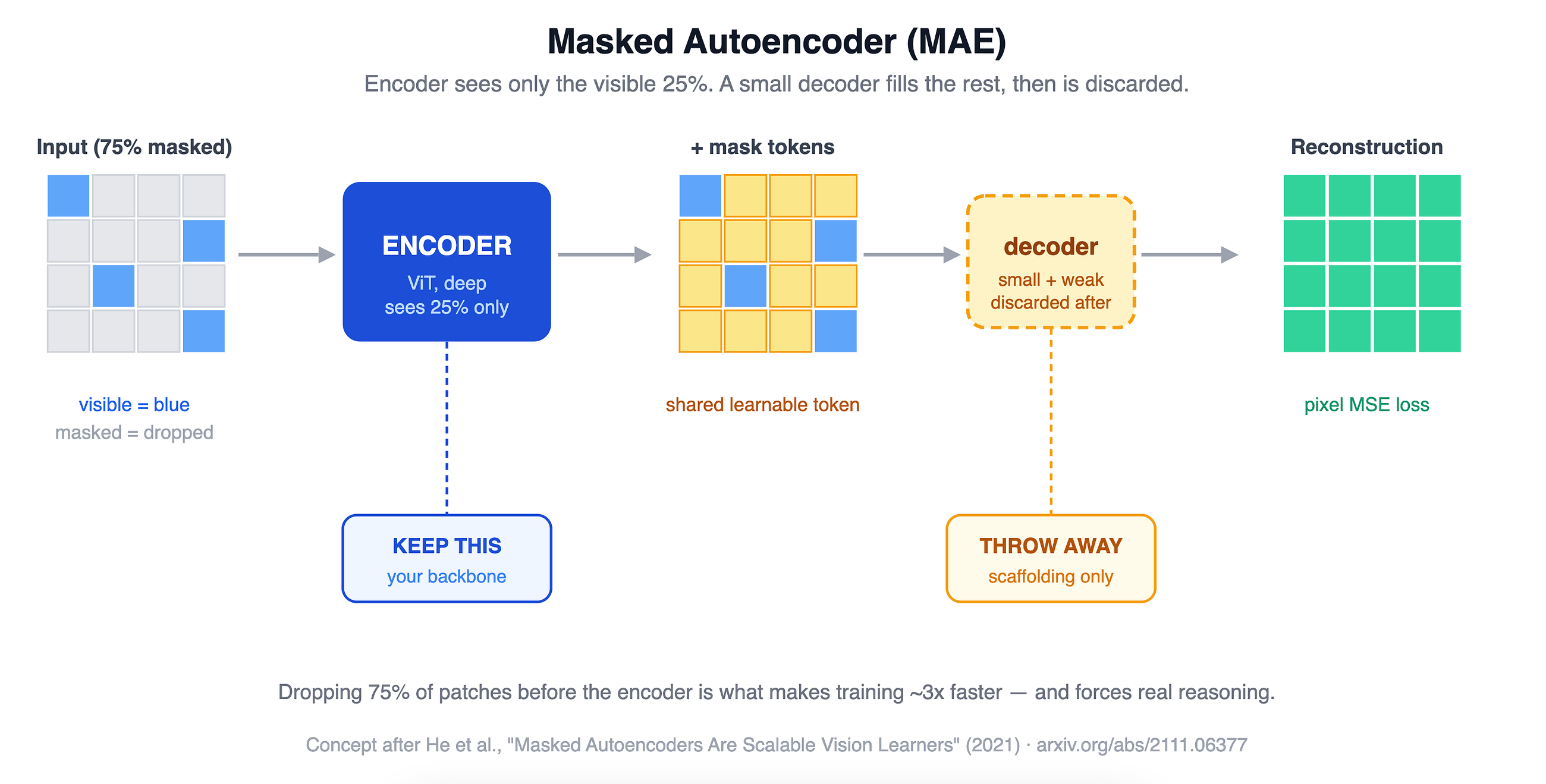 Masked Auto Encoders: When a Model Learns to See by Looking Away