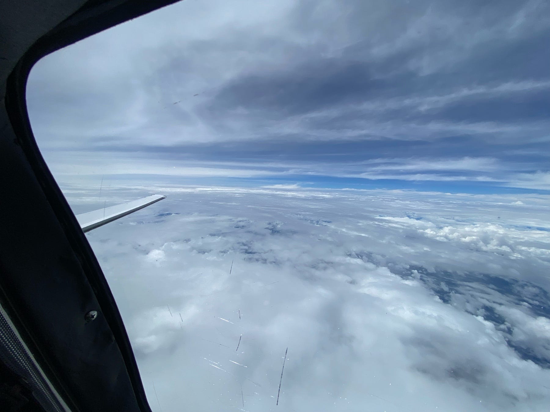 ?? La Humildad del Vuelo: Reflexiones sobre el Verdadero Aprendizaje
