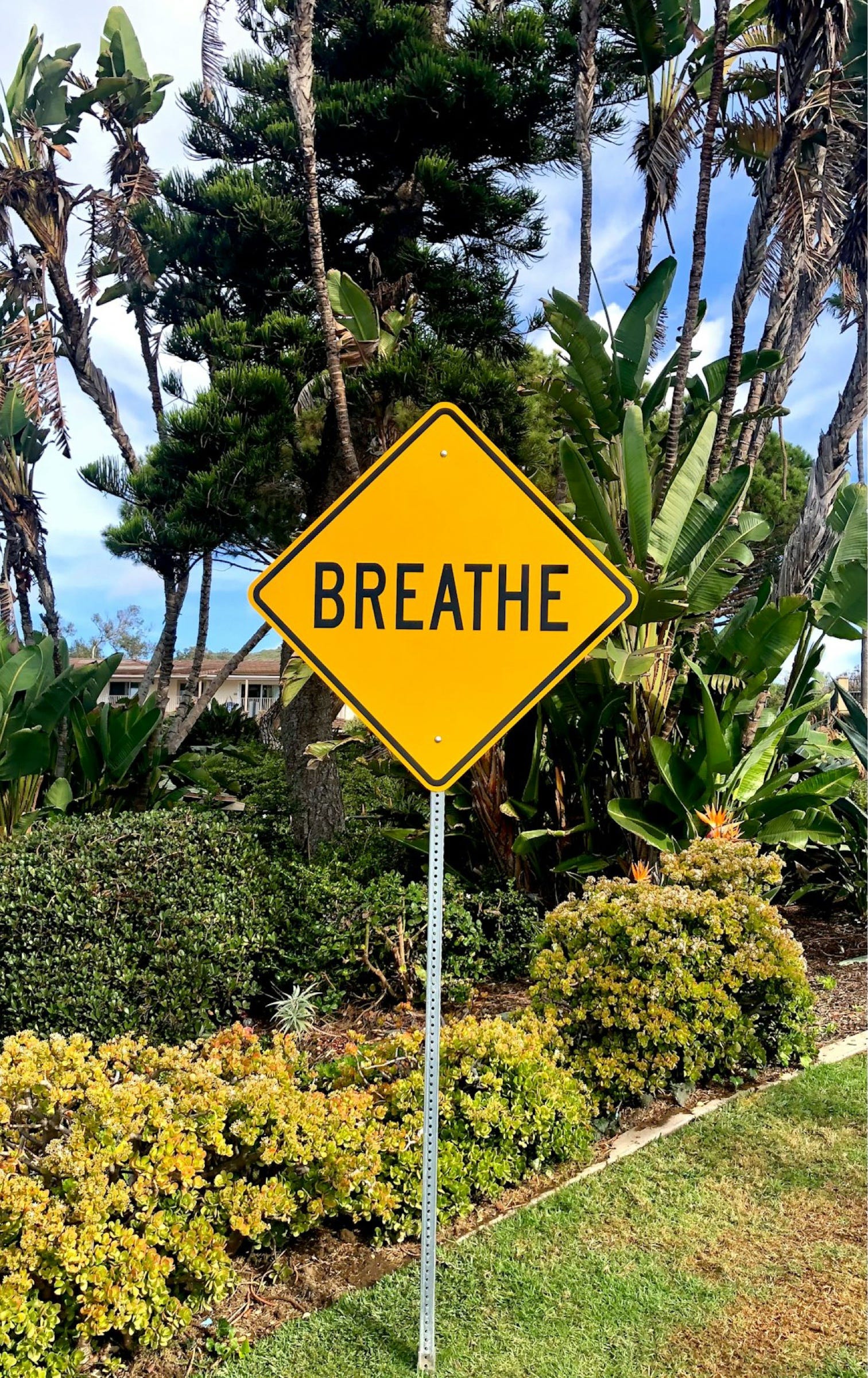 The Shape of Breath
