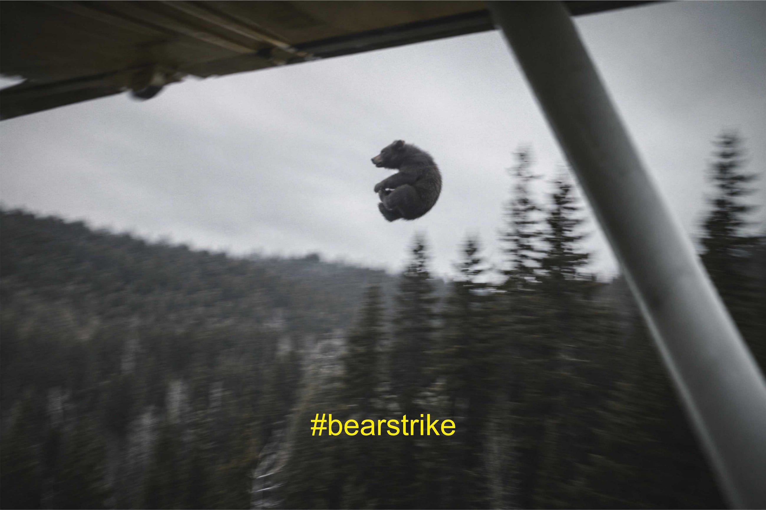 BEARSTRIKE