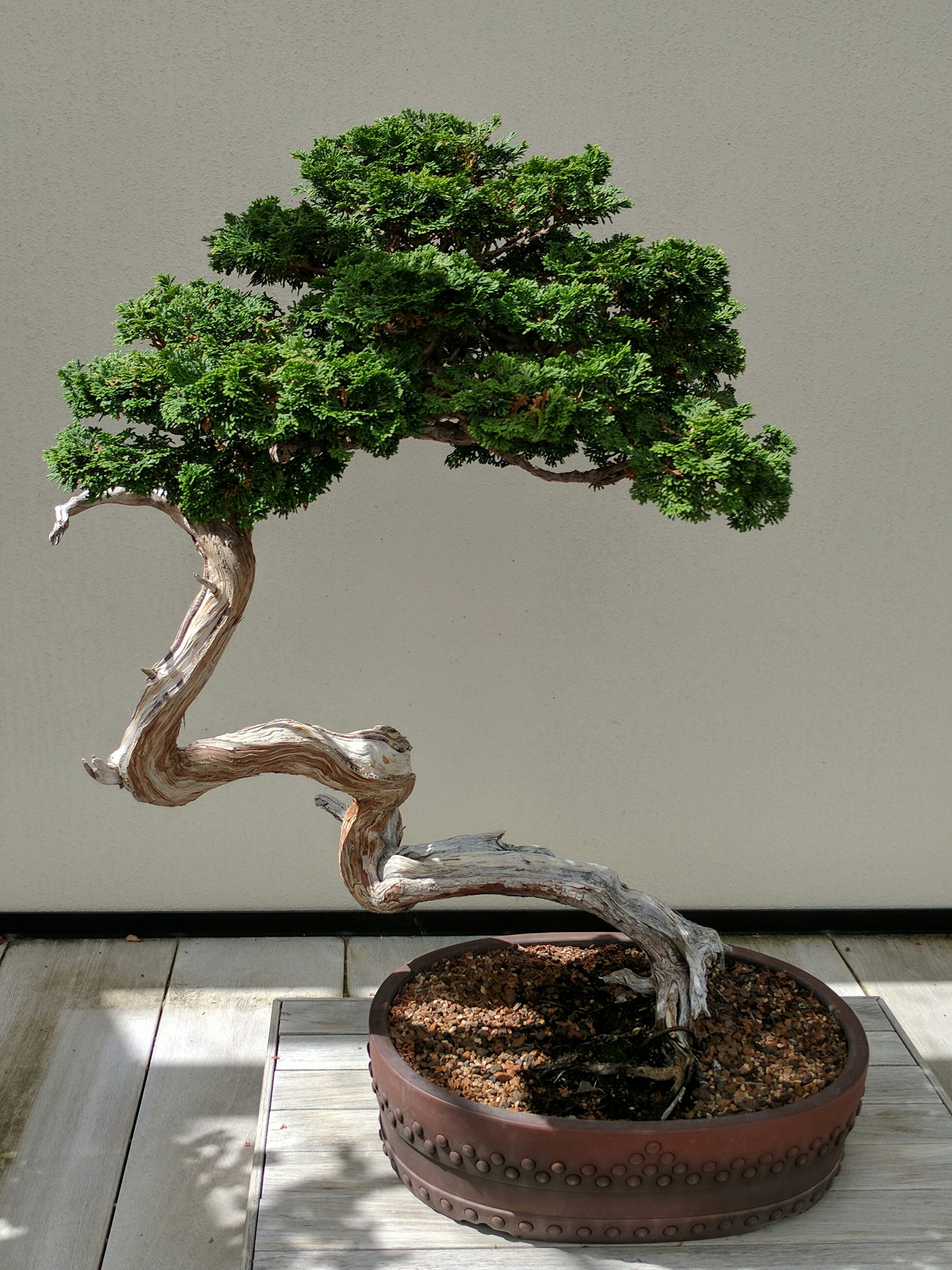 Bonsai: The Spatial Index That Tunes Itself Bonsai: The Spatial Index That Tunes Itself