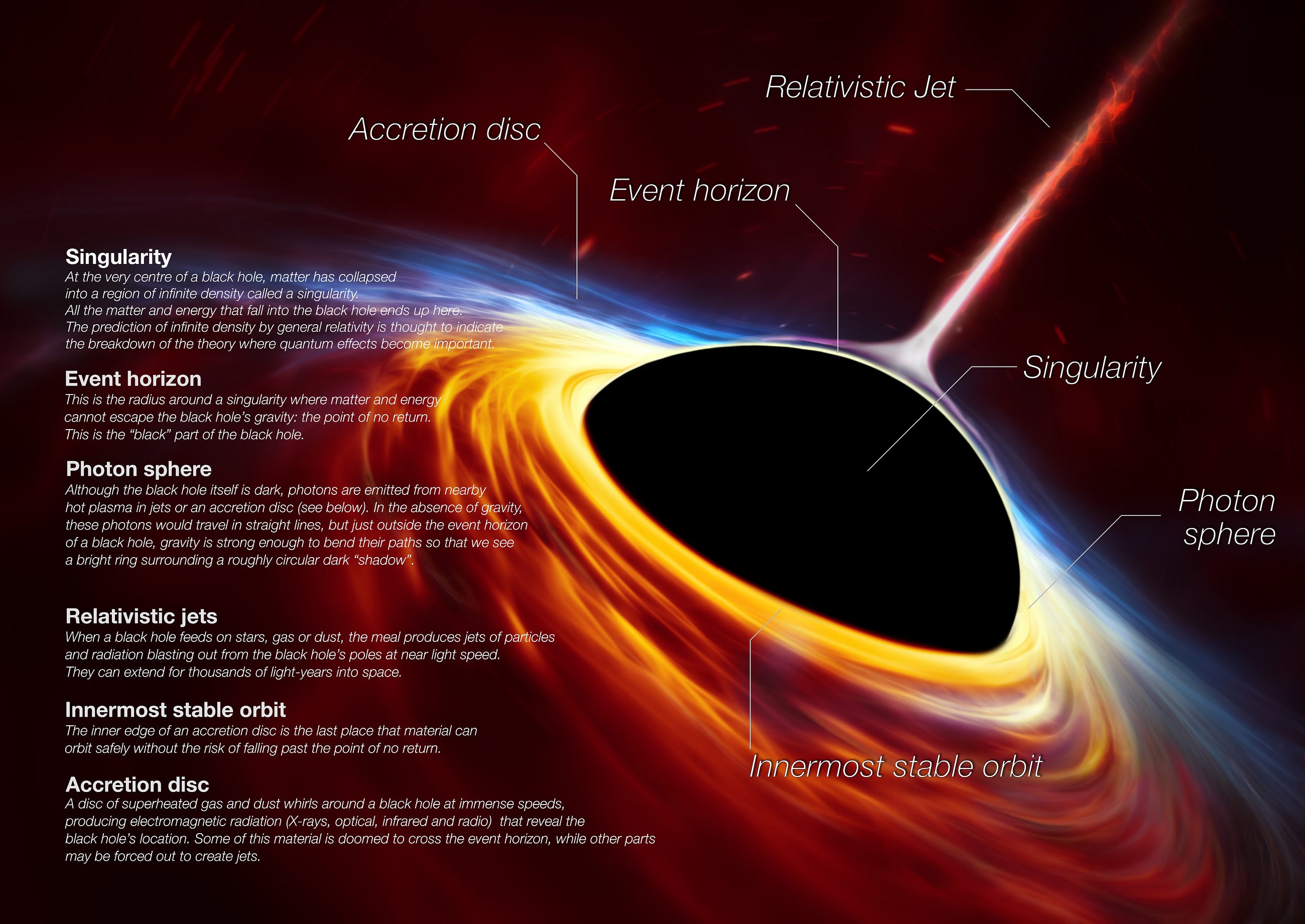 Black Holes : Where Gravity Rules