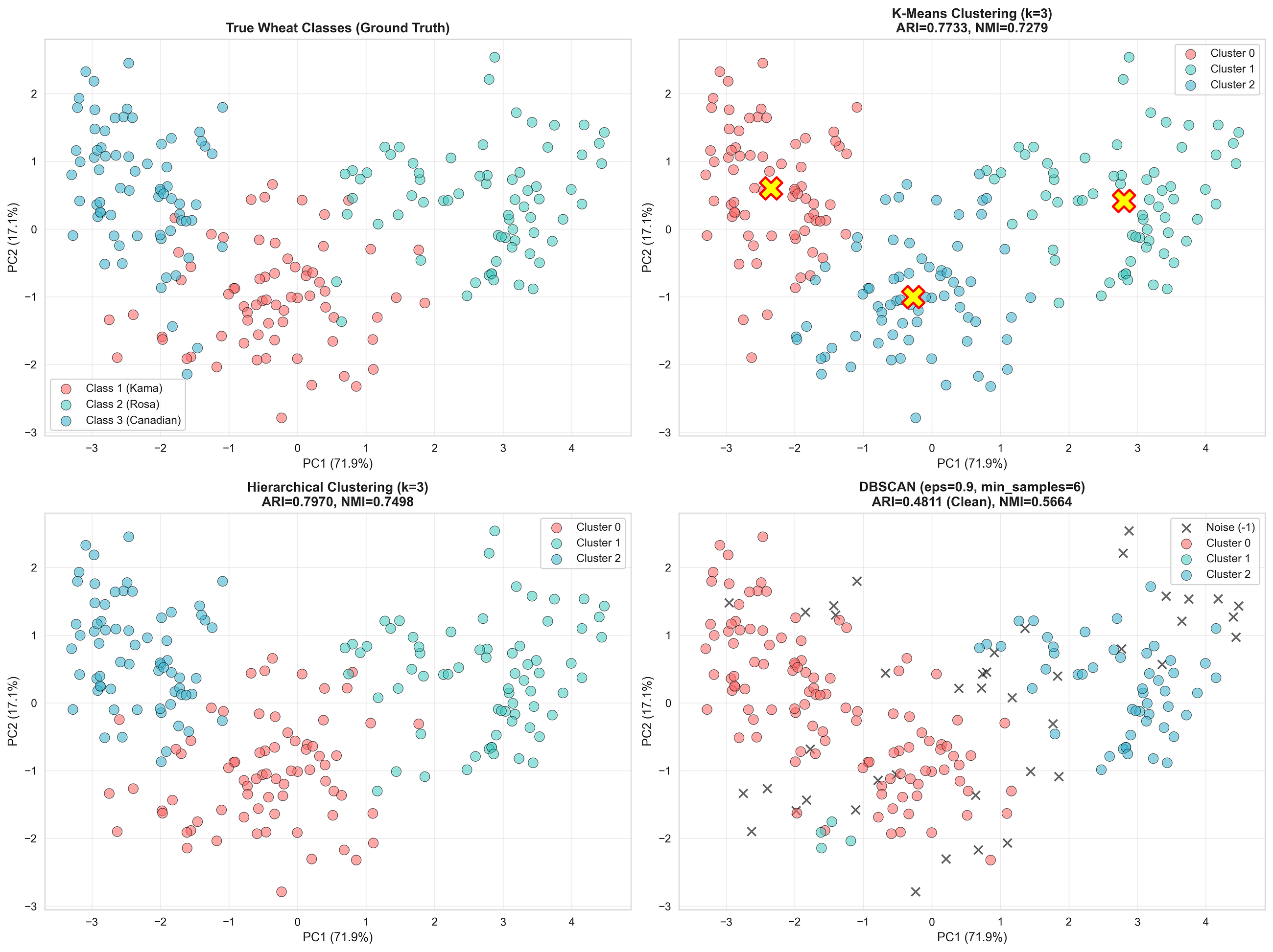 When Geometry Knows More Than You Think: A Machine Learning Deep Dive into Wheat Classification