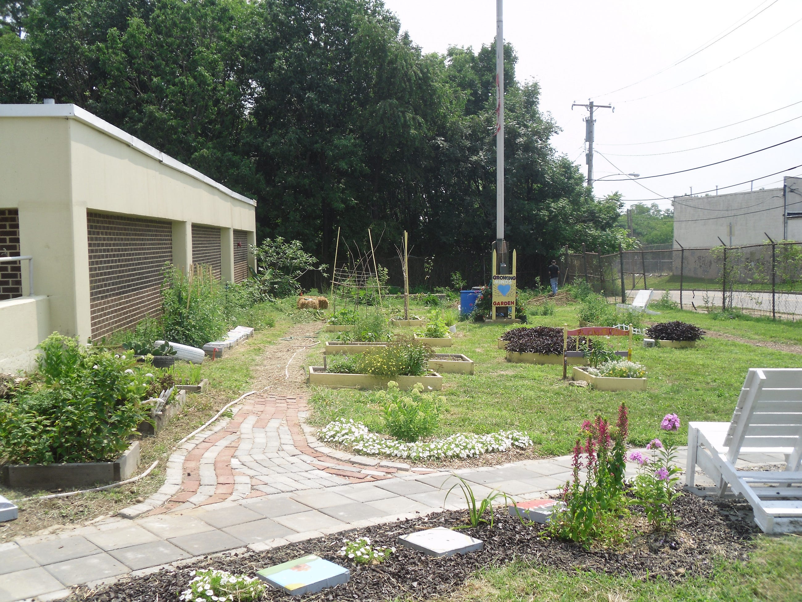 I Became a Gardener on Accident While Trying to Change the World