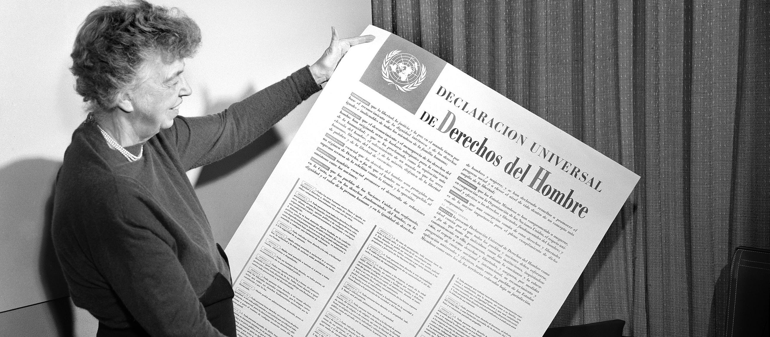 universal-declaration-of-human-rights-radmir-volk