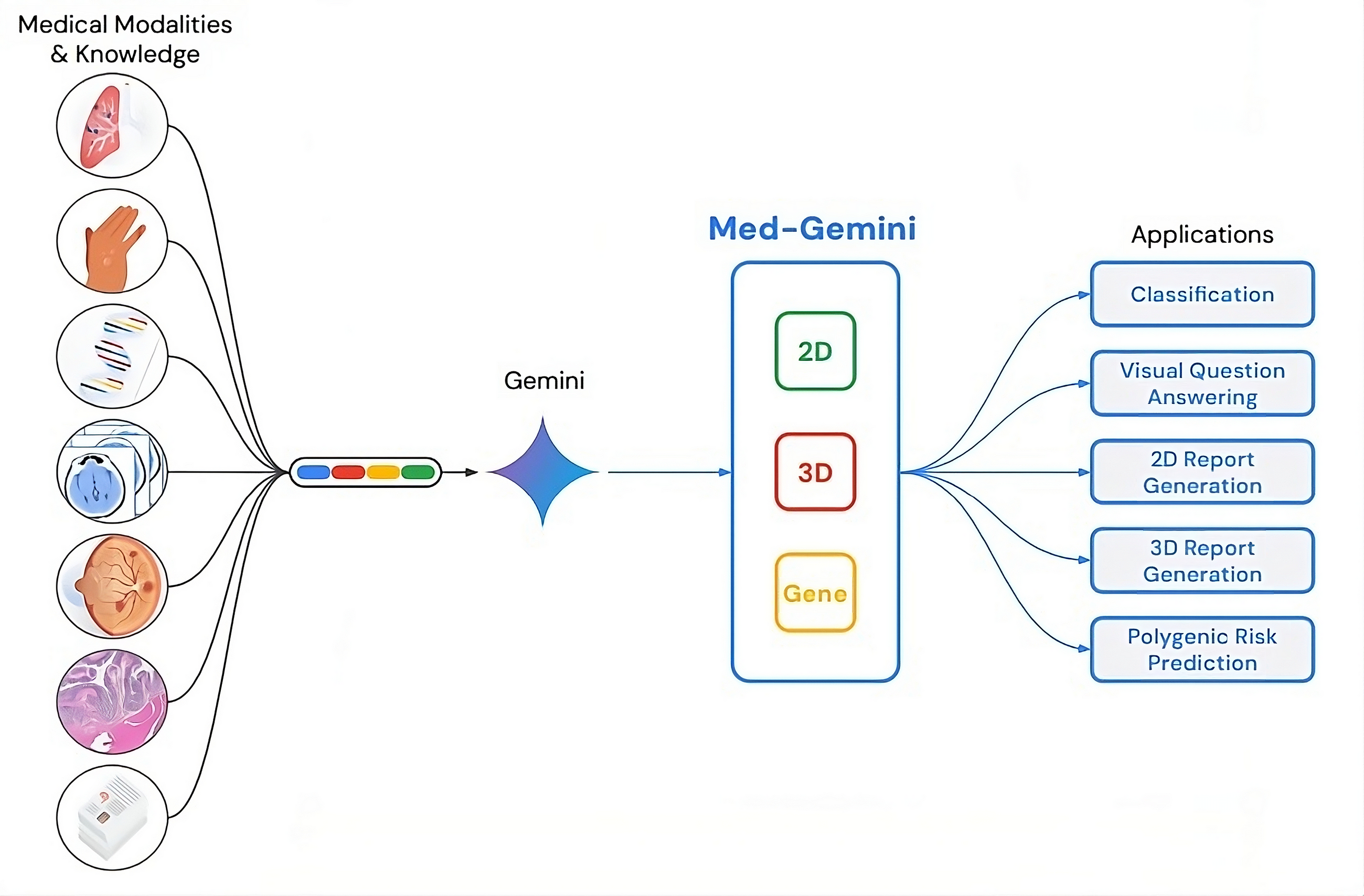 Exploring Med-Gemini: A Breakthrough in Medical Imaging AI: Datasets used for training and…