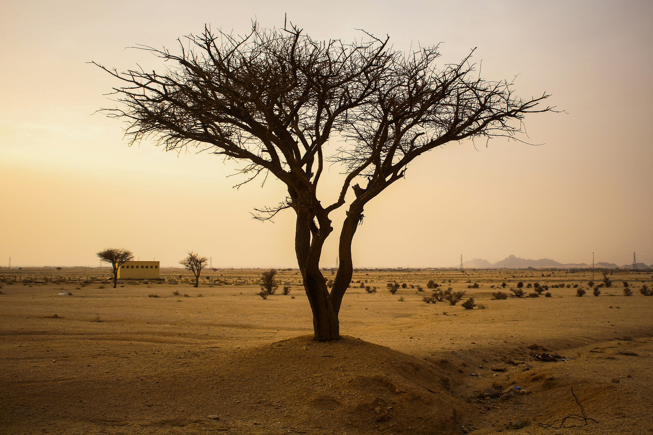 How Political is Climate Change?