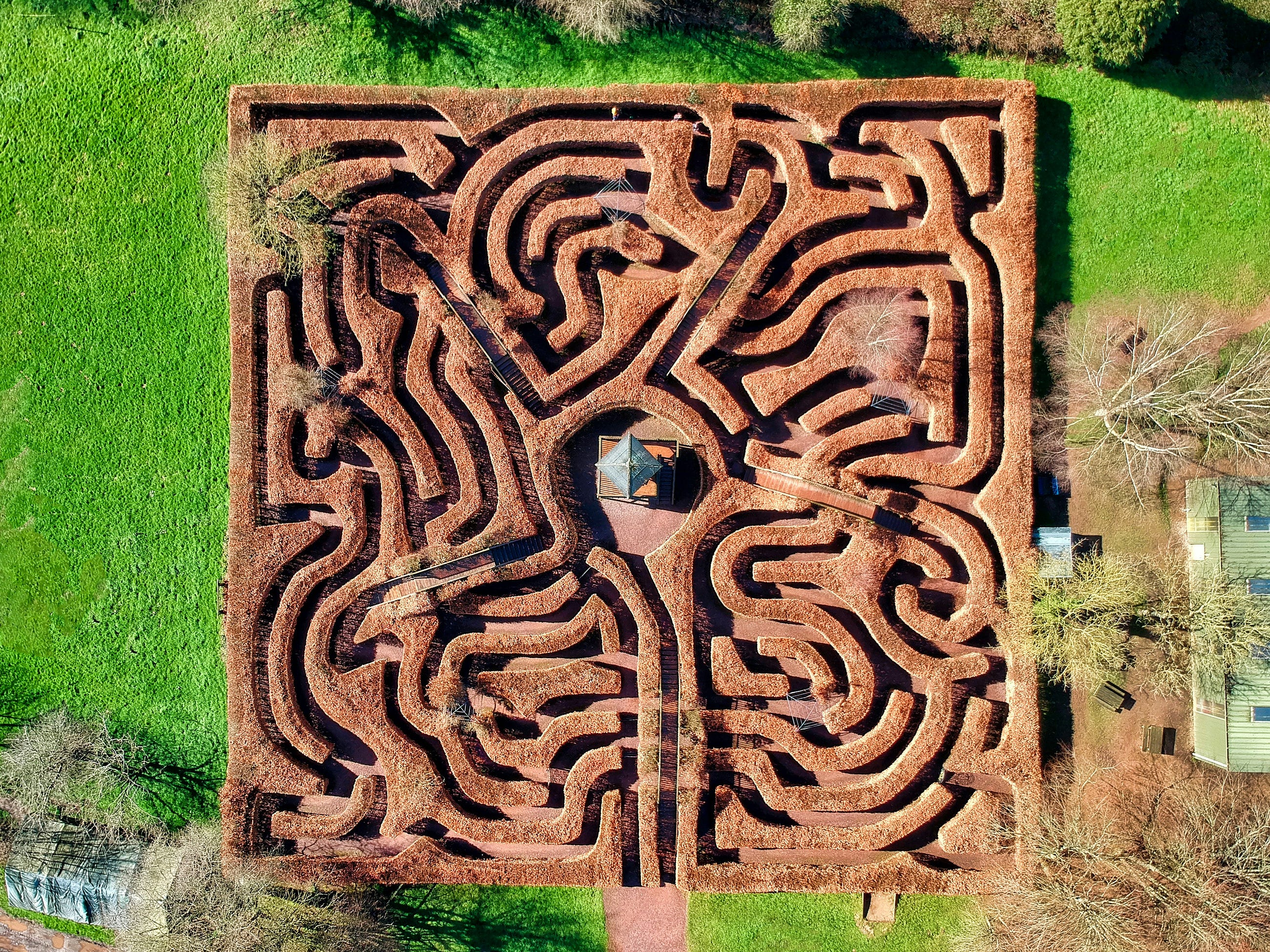 Demystifying the Maze: Model-Less AI Ushers in a Transparent Future