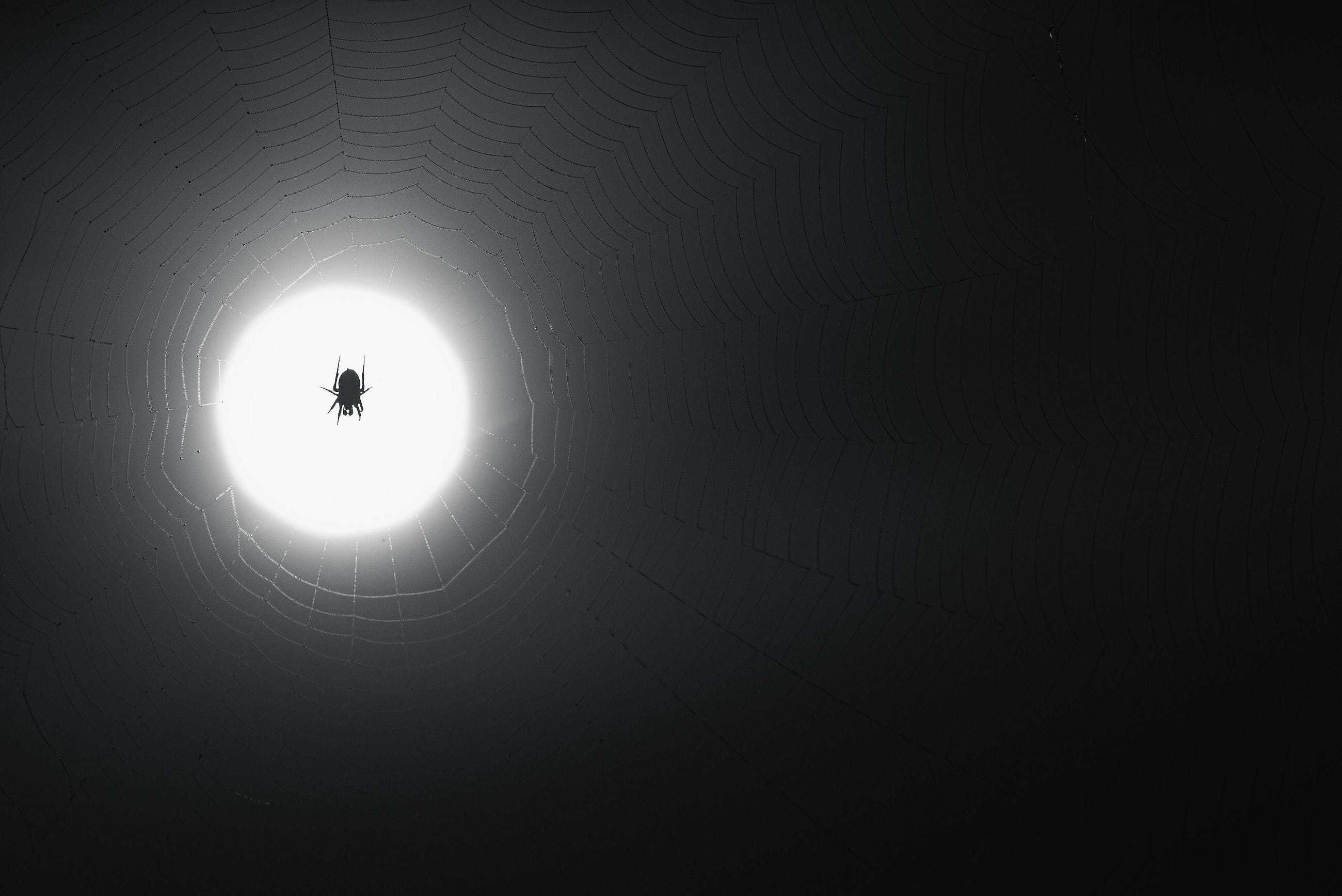 The Pulse Beneath the Screen: Why the Dark Web is More Human Than You Think