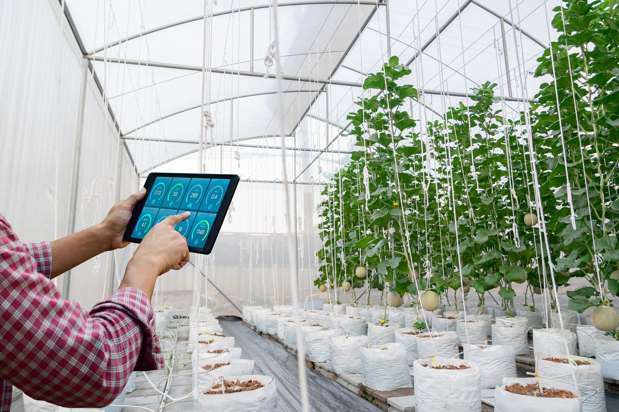 Discover the future of seamless device communication with MeshTek’s advanced IoT platform