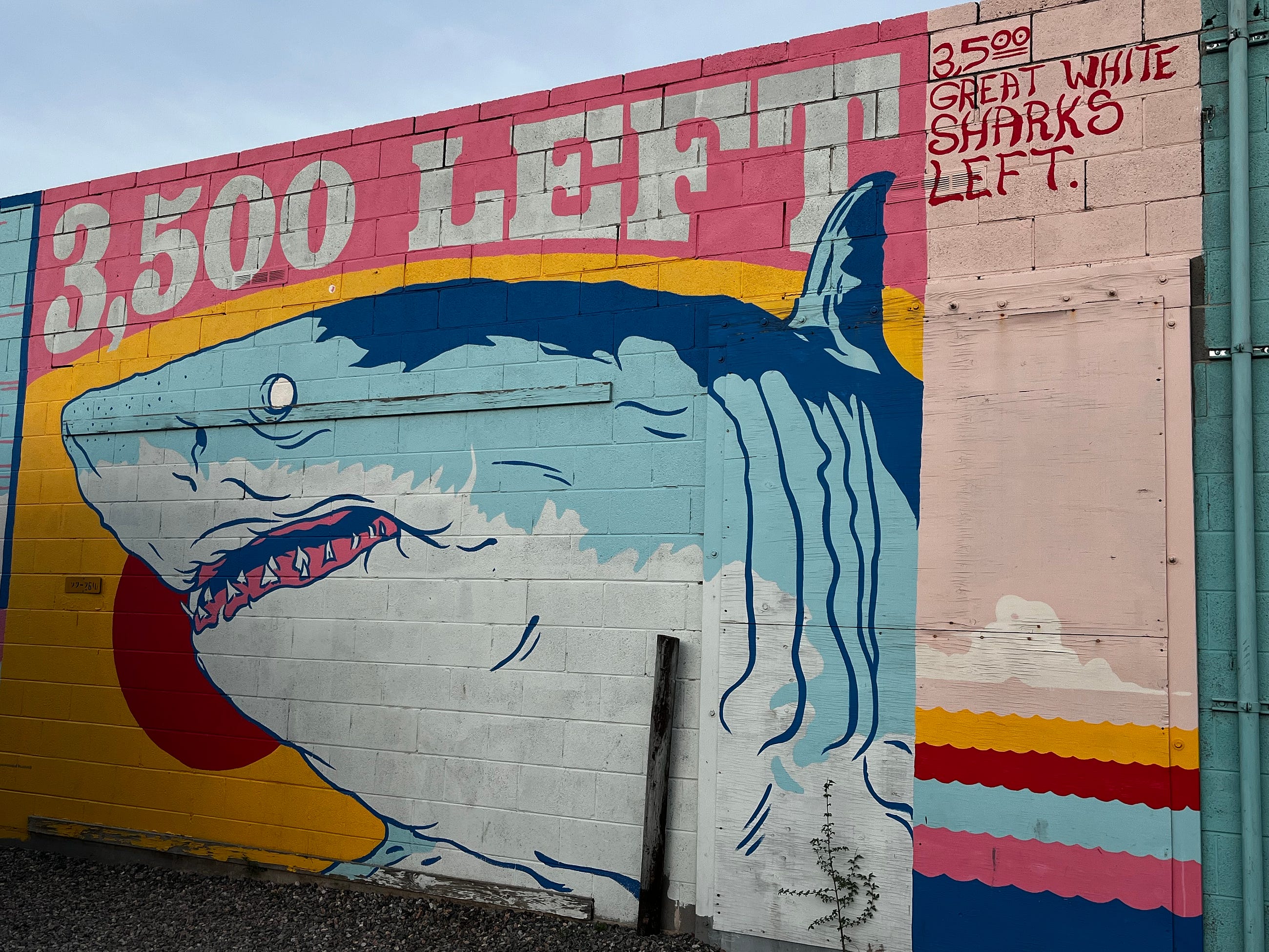 Be more Shark Be more Shark