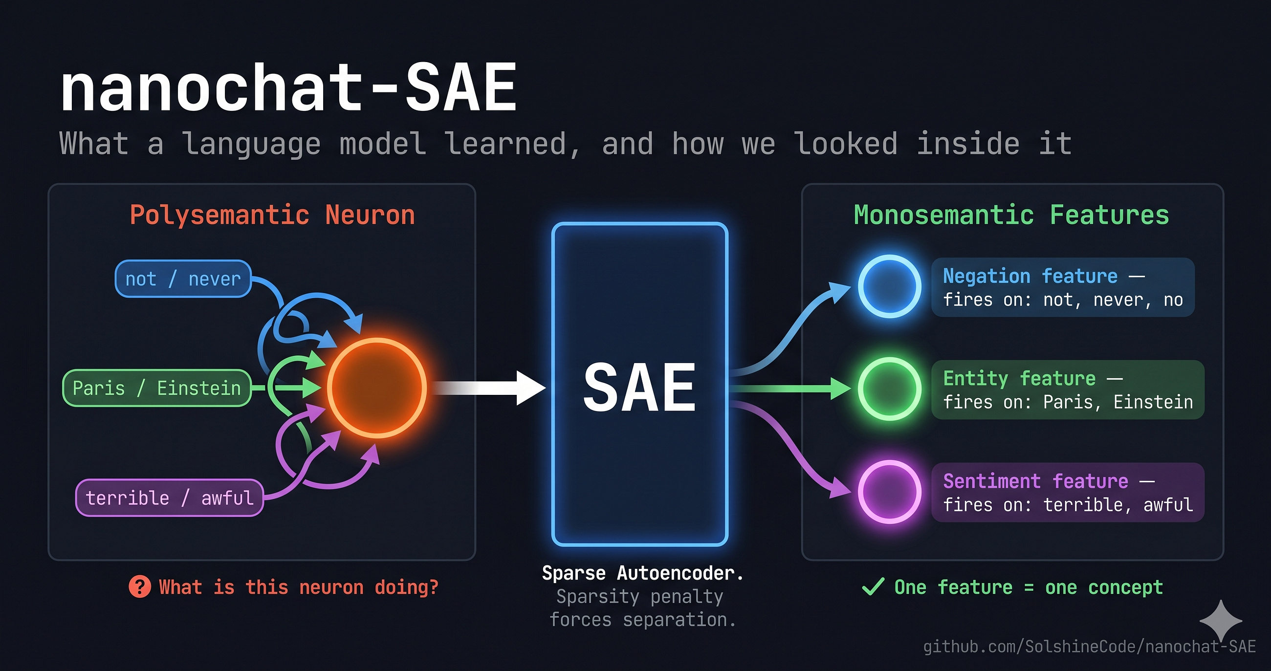 I Trained a Language Model. Then I Built a Brain Scanner and Looked Inside It.