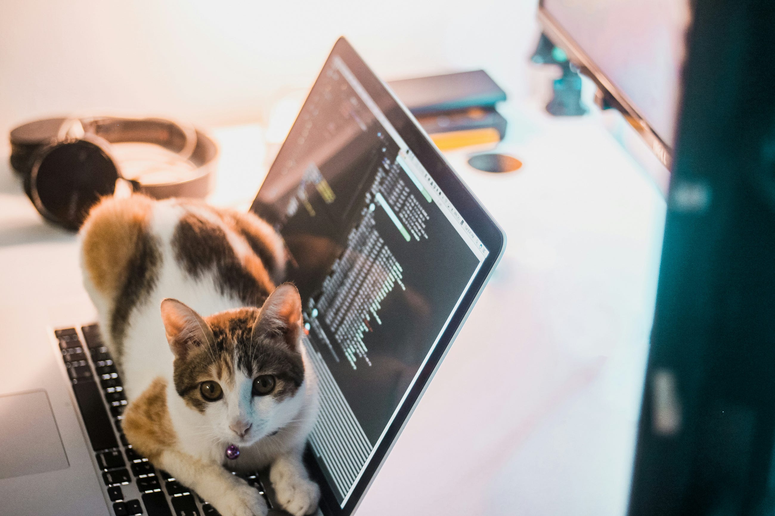 Struktur Data 11: Algoritma Greedy Dalam Python