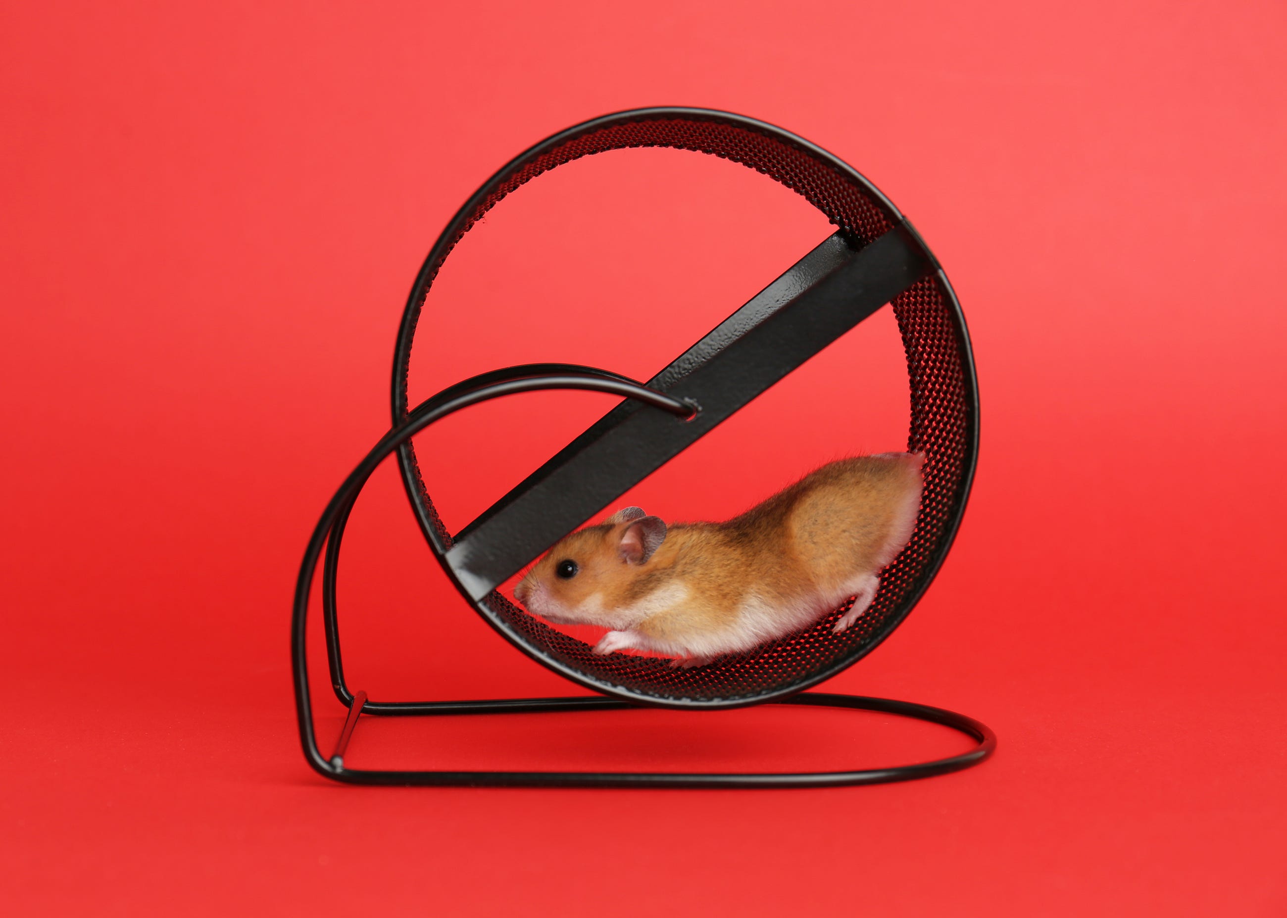 Busy Marketing, Flat Revenue Pipeline: What’s Actually Broken (And It’s Not Effort)