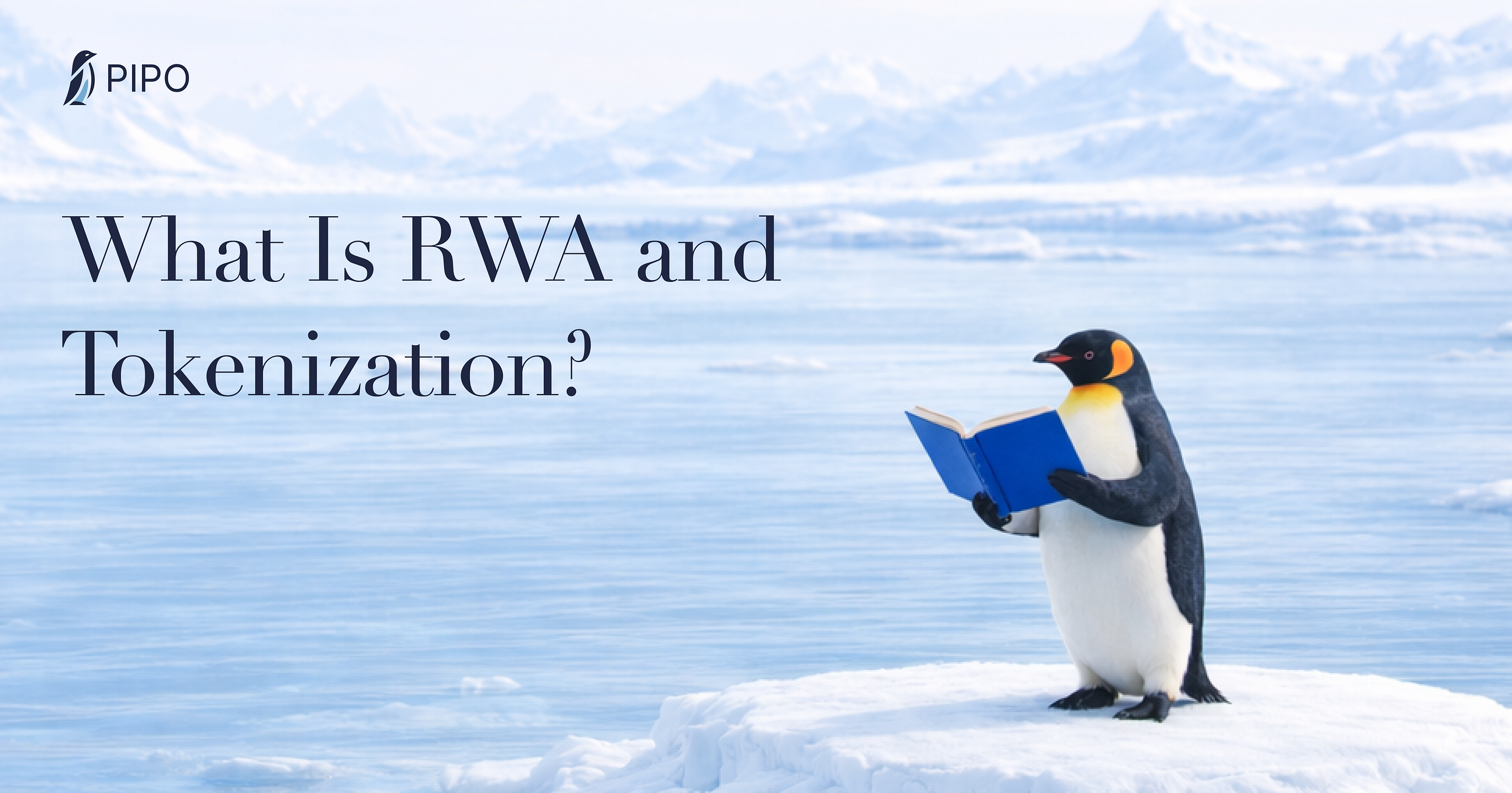 What Is RWA and Tokenization?