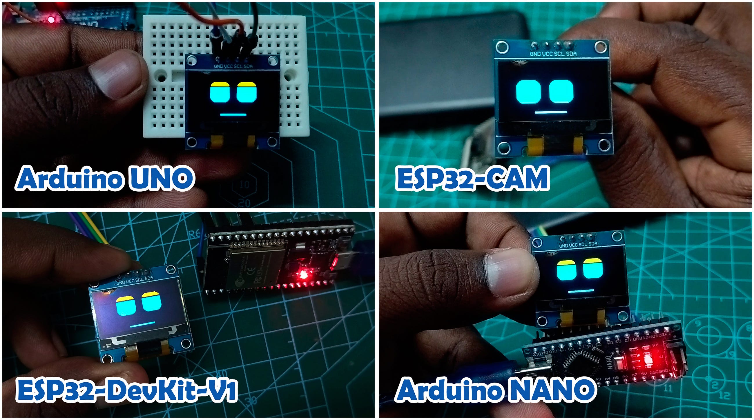 Bringing Robots to Life