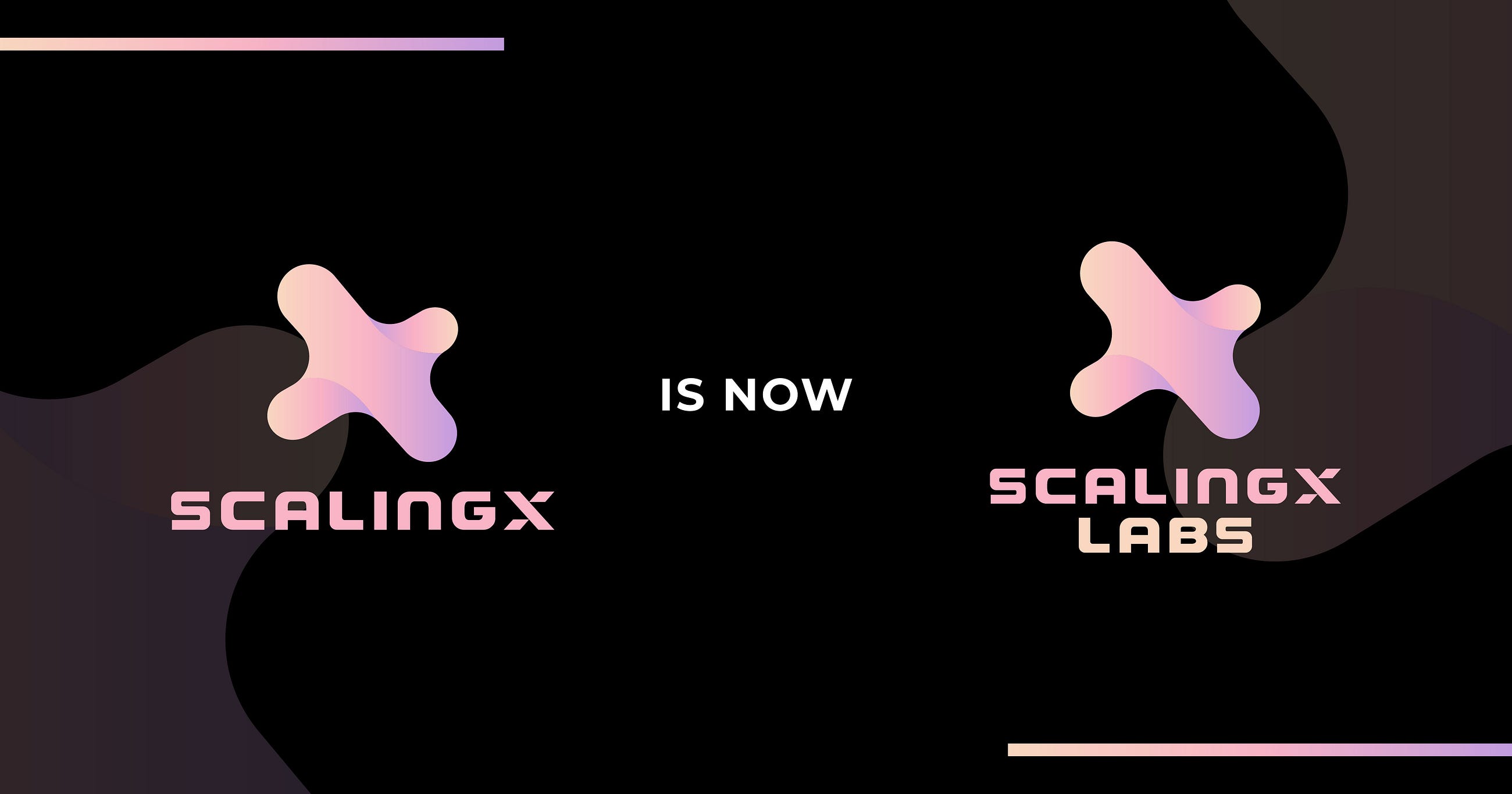 Introducing ScalingX Labs : Powering Global Scale for Web3 Protocols