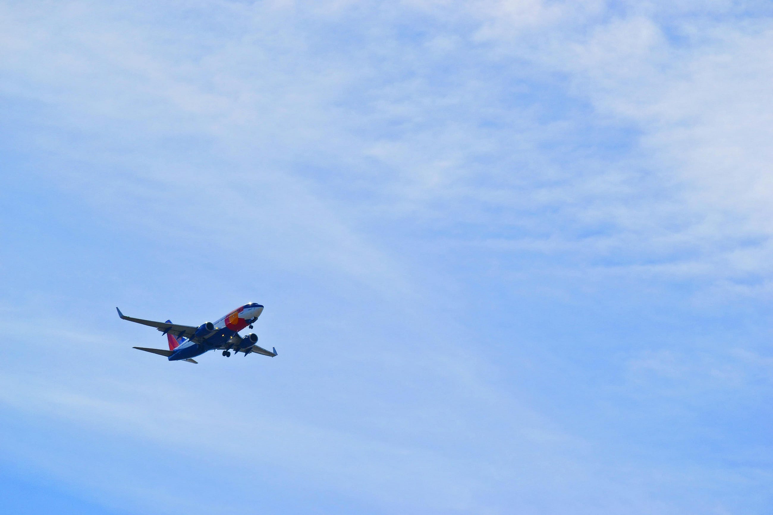 Travelling With the Cub Without Leaving Home Travelling With the Cub Without Leaving Home