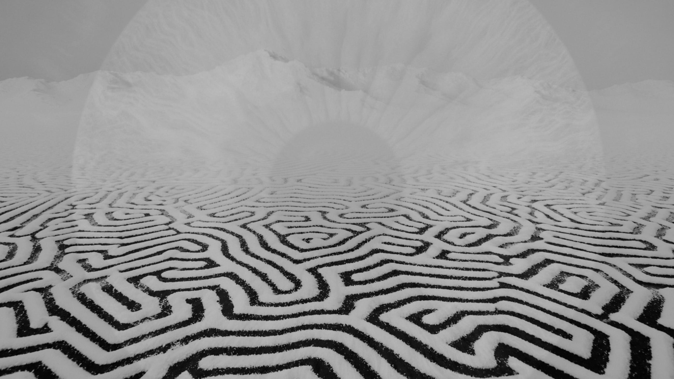 The Tiny White Grain That Runs The World (And No — It’s Not Cocaine)