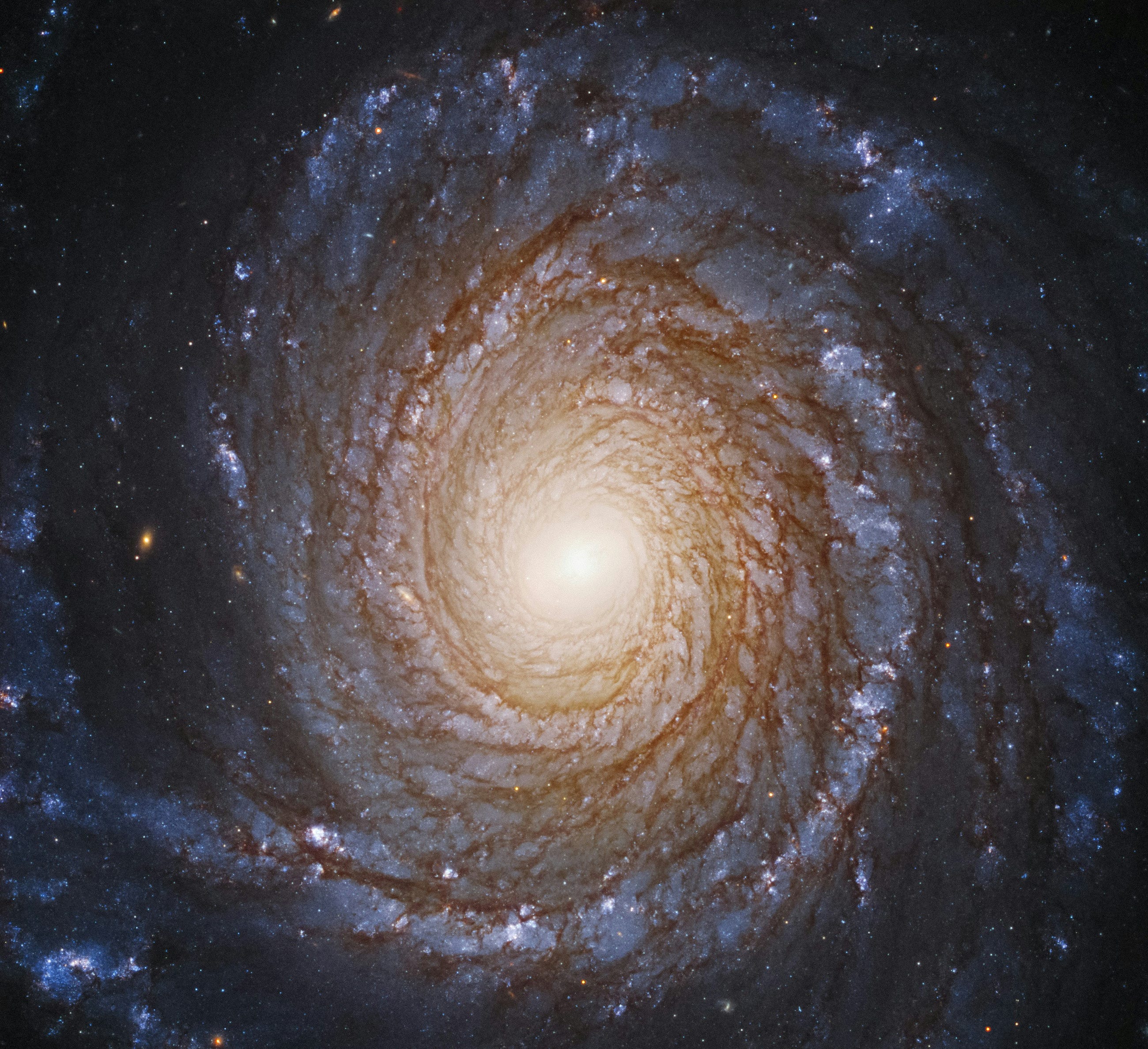 The Black Hole We Call Home