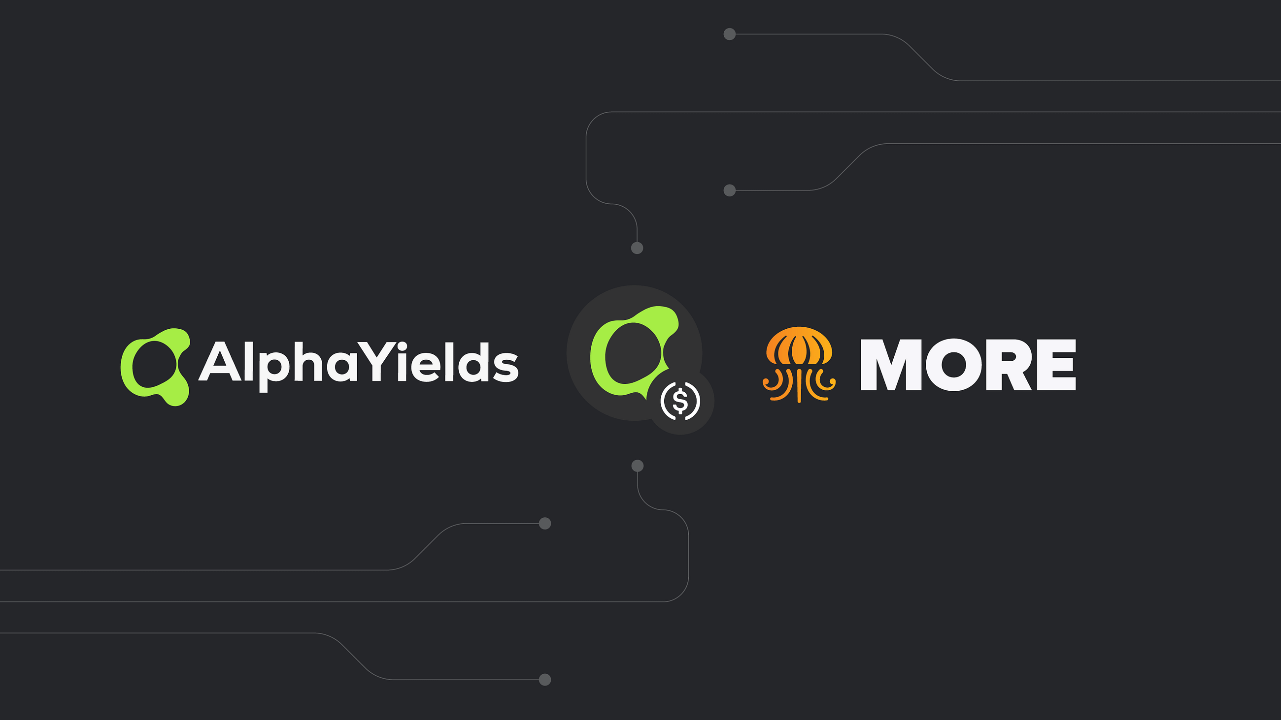 ayUSD: The Vault of Vaults Solving DeFi’s Yield Optimization Problem