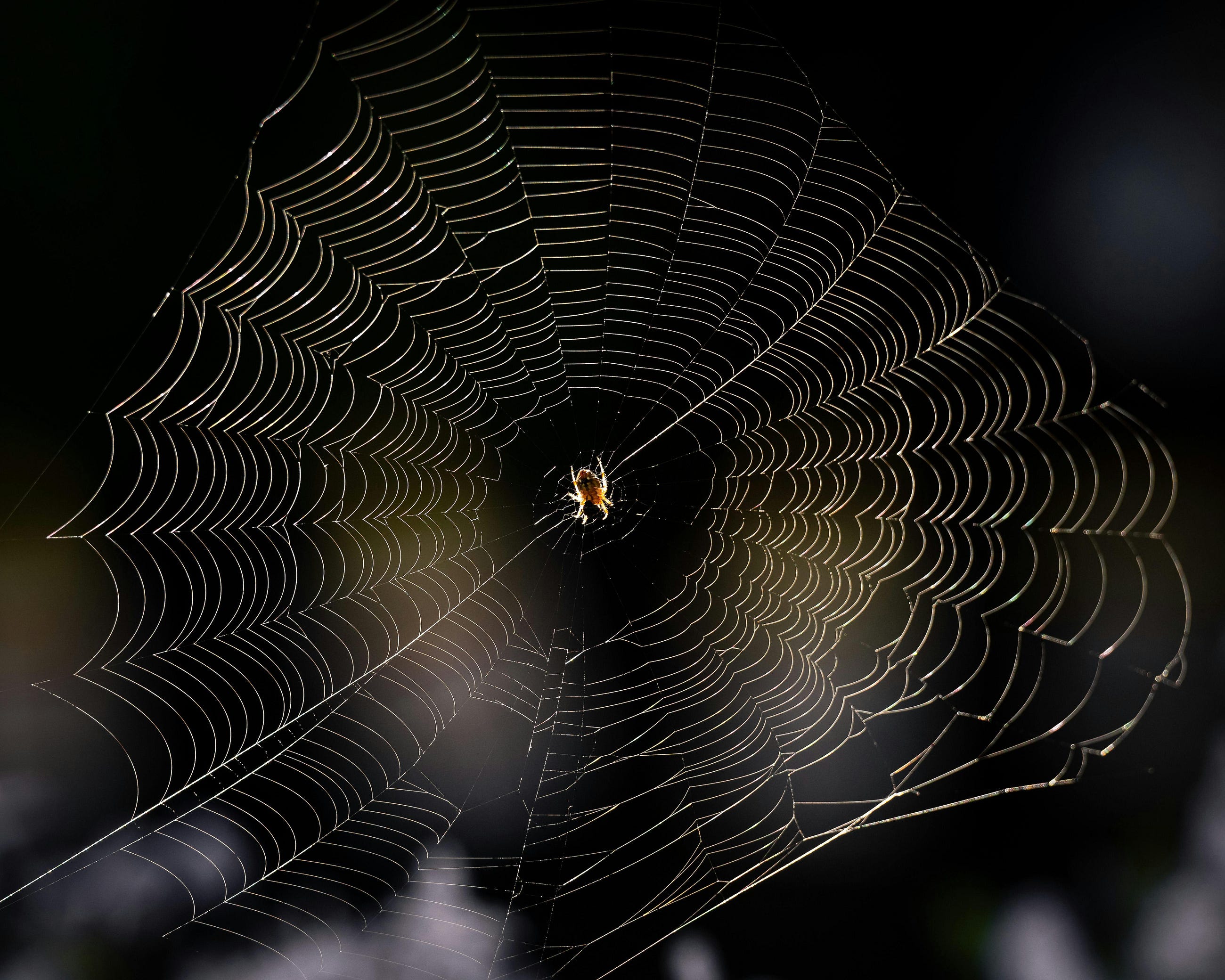 The Invisible Skeleton: 10 Hacking Truths That Prove Your “Privacy” is Just a Ghost