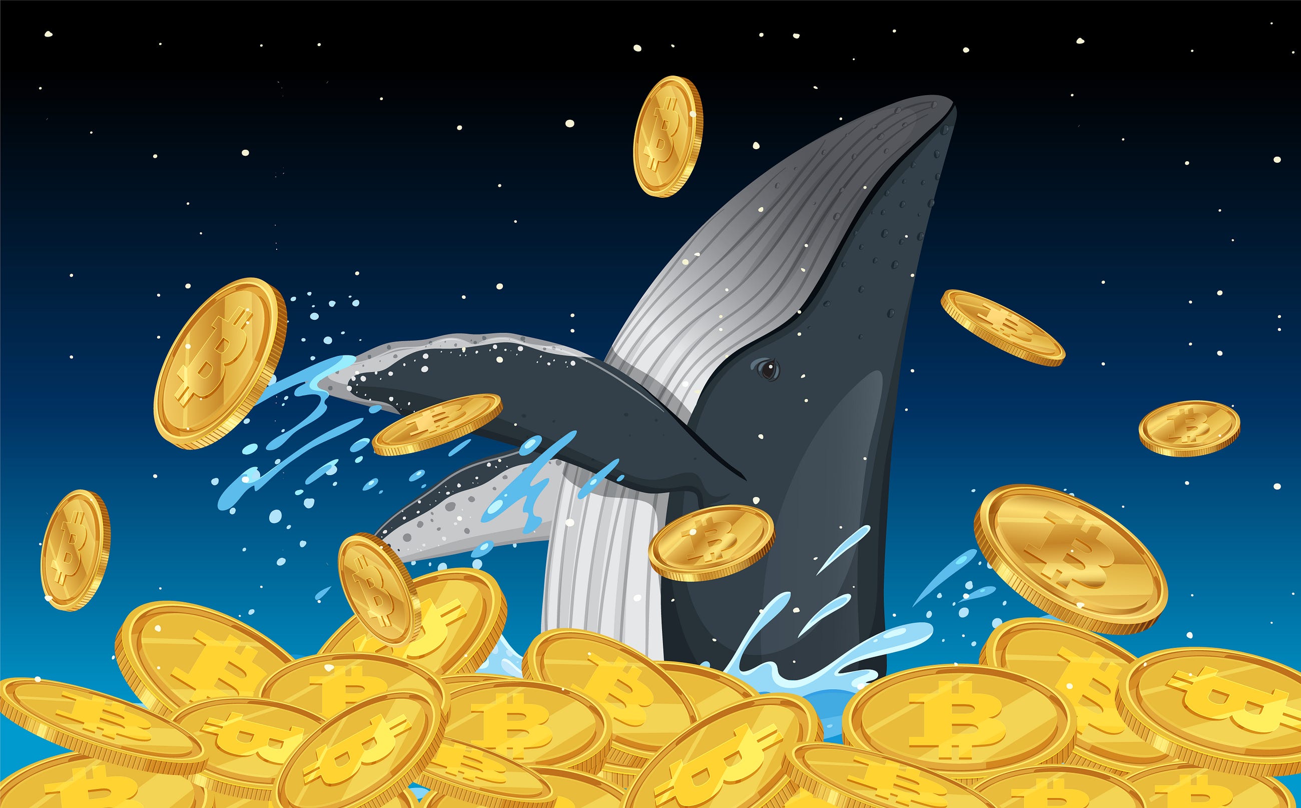 I Realized What Whales Were Really Doing and It Changed How I Trade