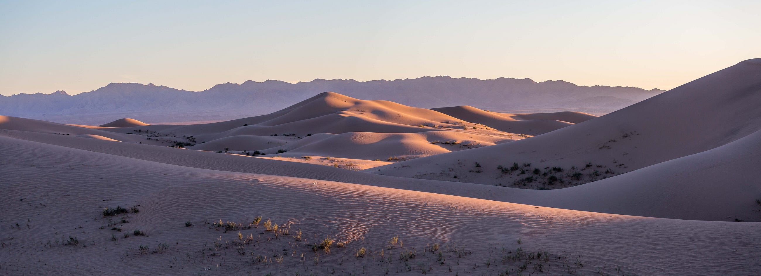 MOJAVE TRAILS NATIONAL MONUMENT: Photographs from California’s Desert