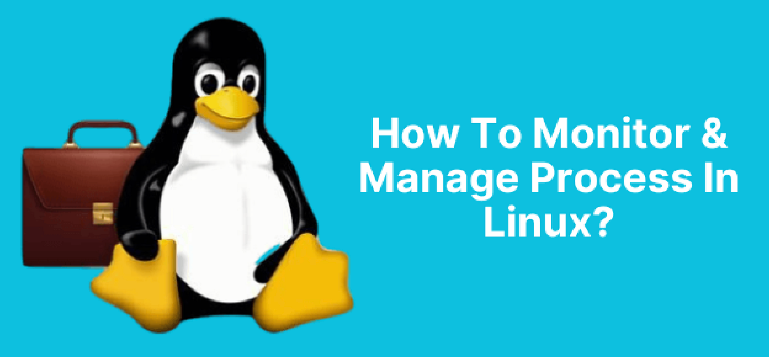 Process Management & Monitoring in Linux