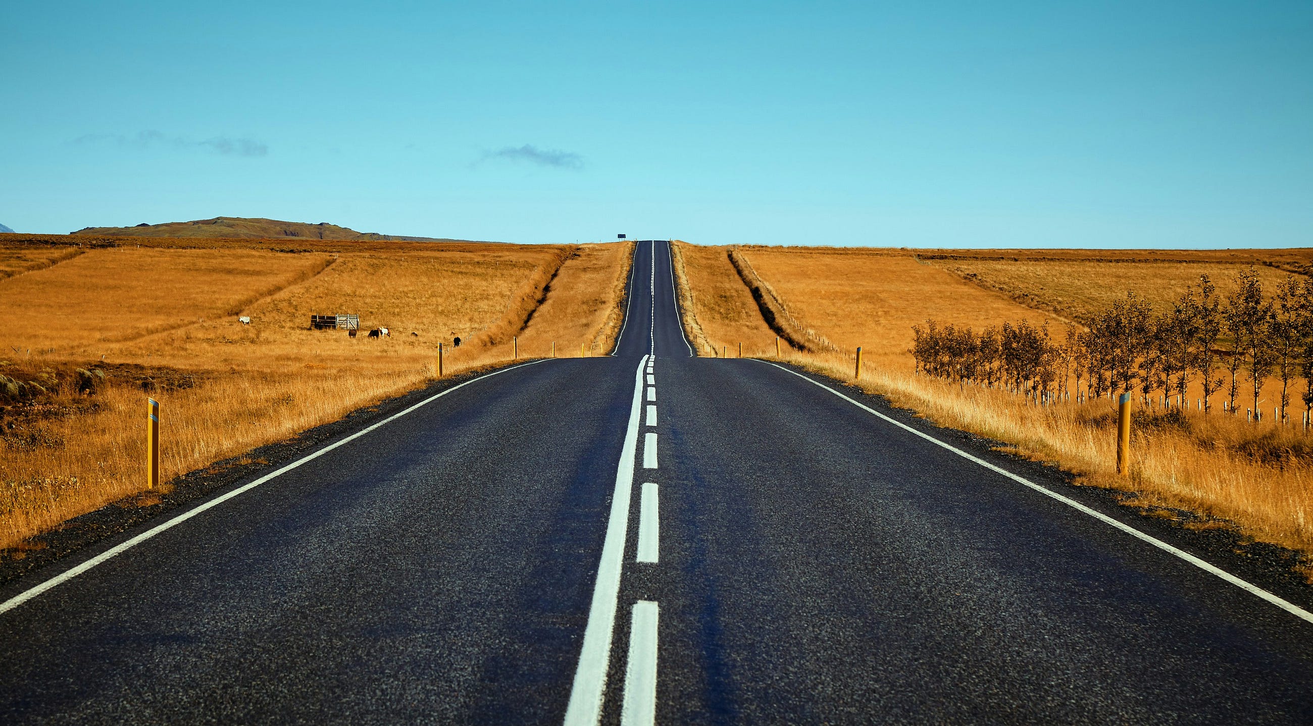 Give your Knowledge a Timeline: Structured Events and Causality