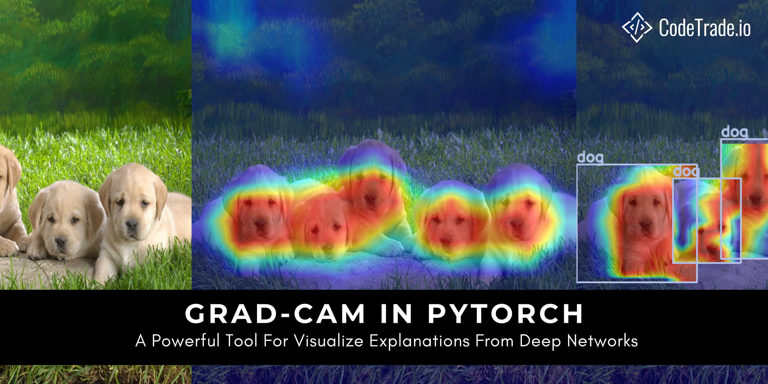 Grad-CAM In PyTorch: A Powerful Tool For Visualize Explanations From Deep Networks